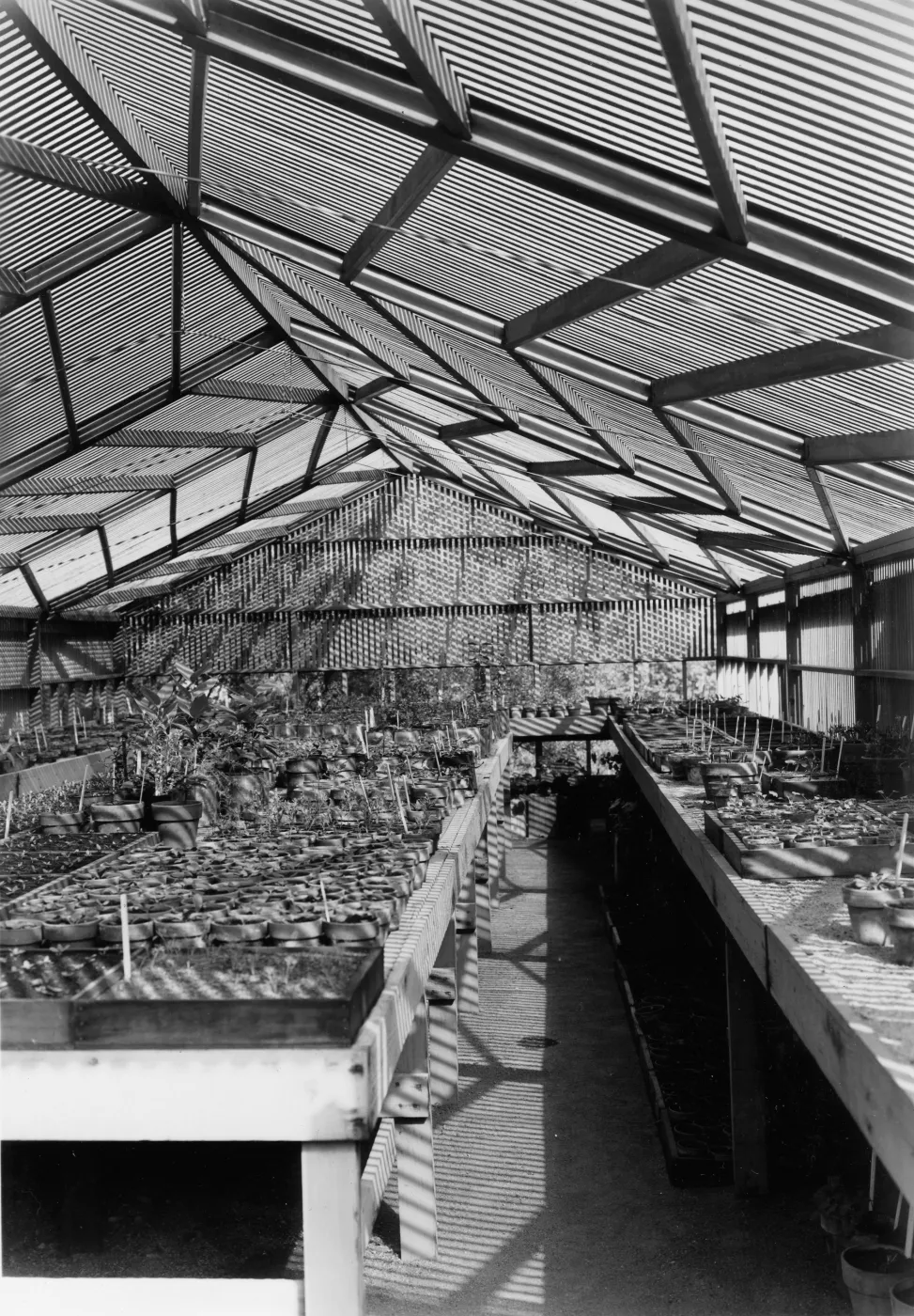 SBBG Horticulture Building, lath house (interior)
