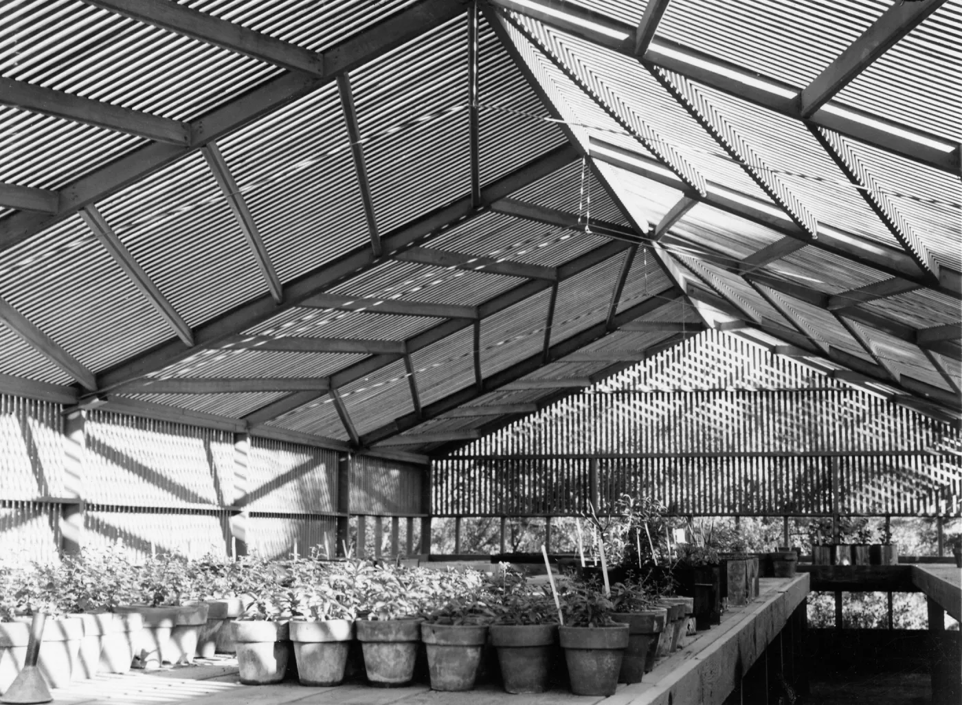 SBBG Horticulture Building, lath house (interior)