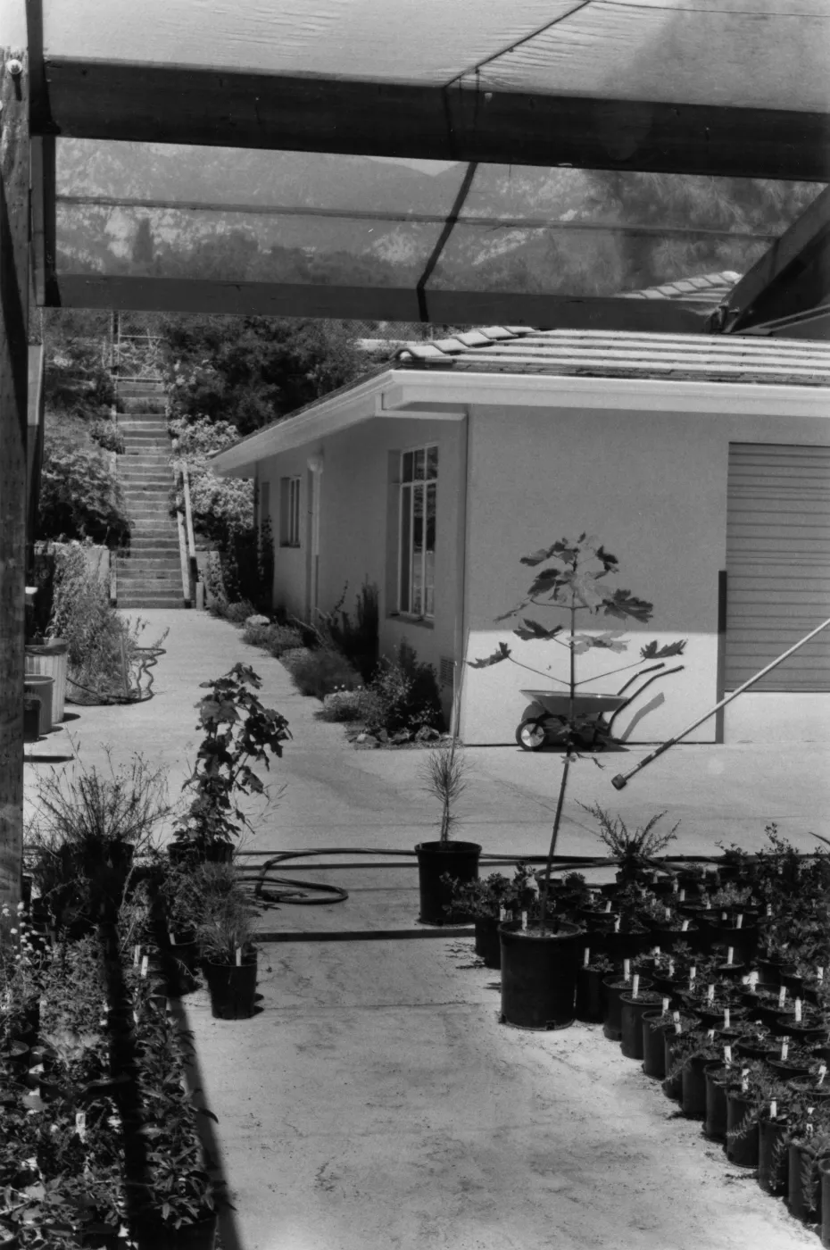 SBBG Horticulture Building, can yard