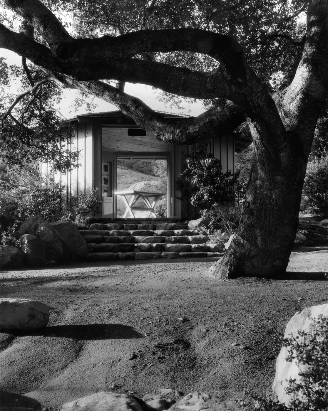 SBBG Information Kiosk (Coastal Live Oak), © Josef Muench