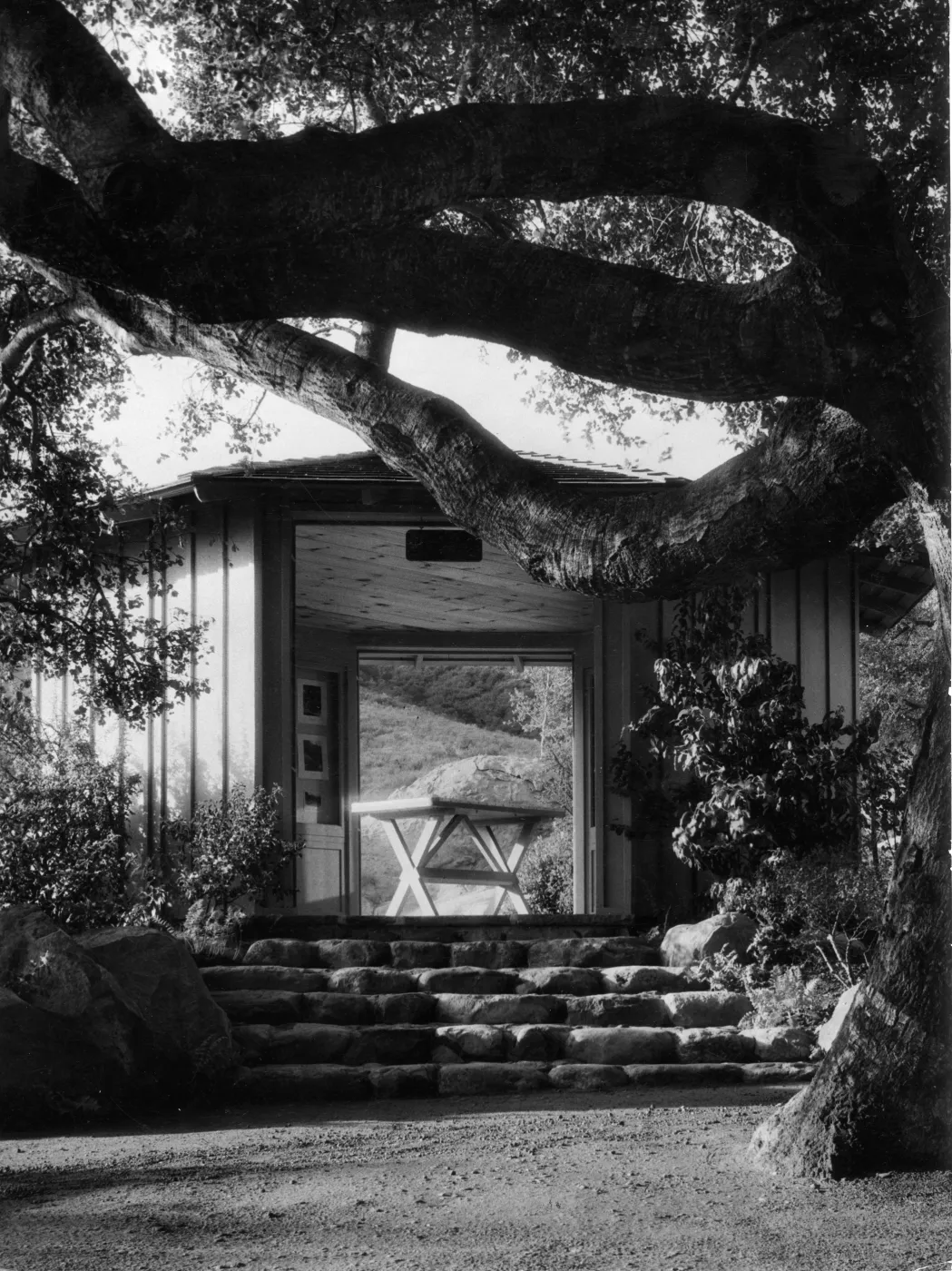SBBG Information Kiosk (Coastal Live Oak), © Josef Muench