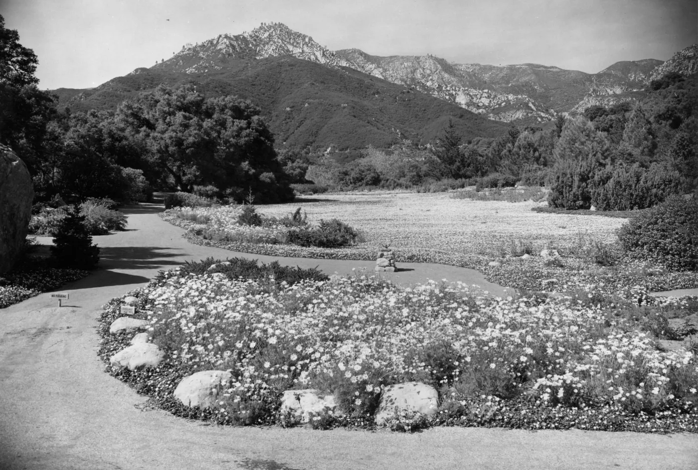 SBBG Strawberry Meadow with Sundial