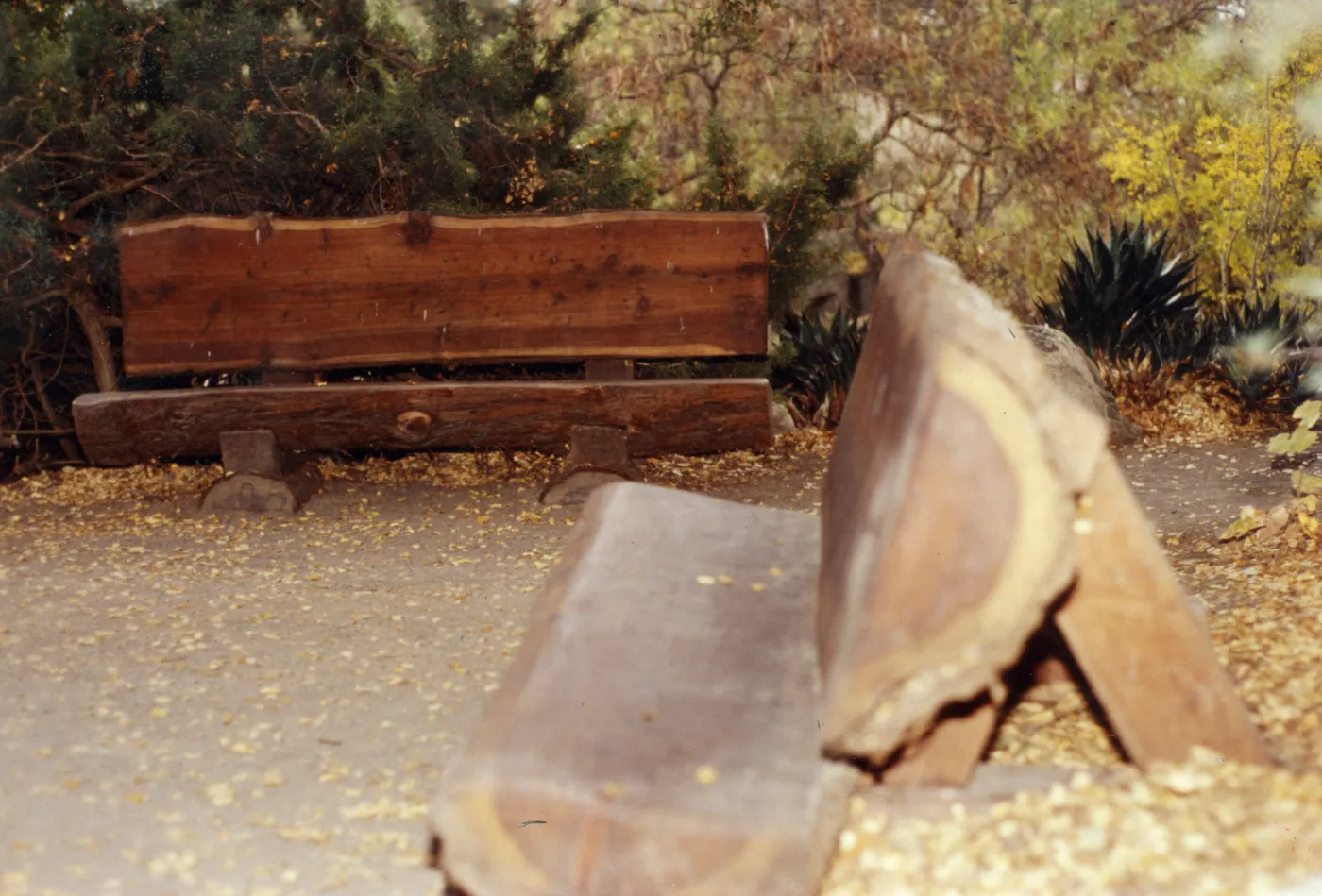 two wood benches