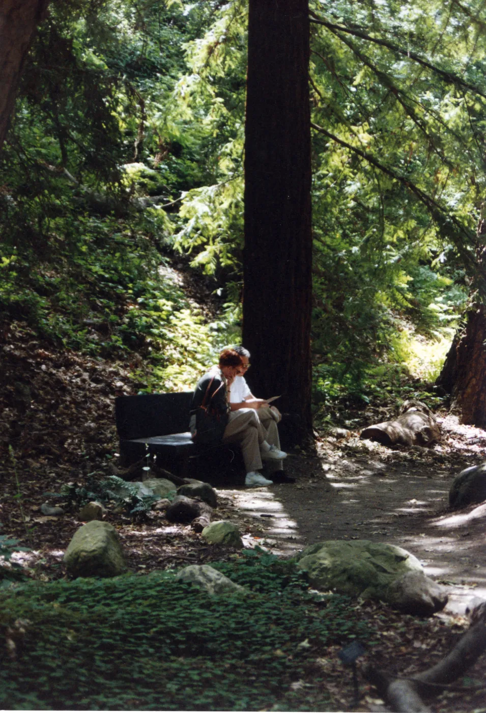 SBBG Redwood Section, visitors sitting on wood bench