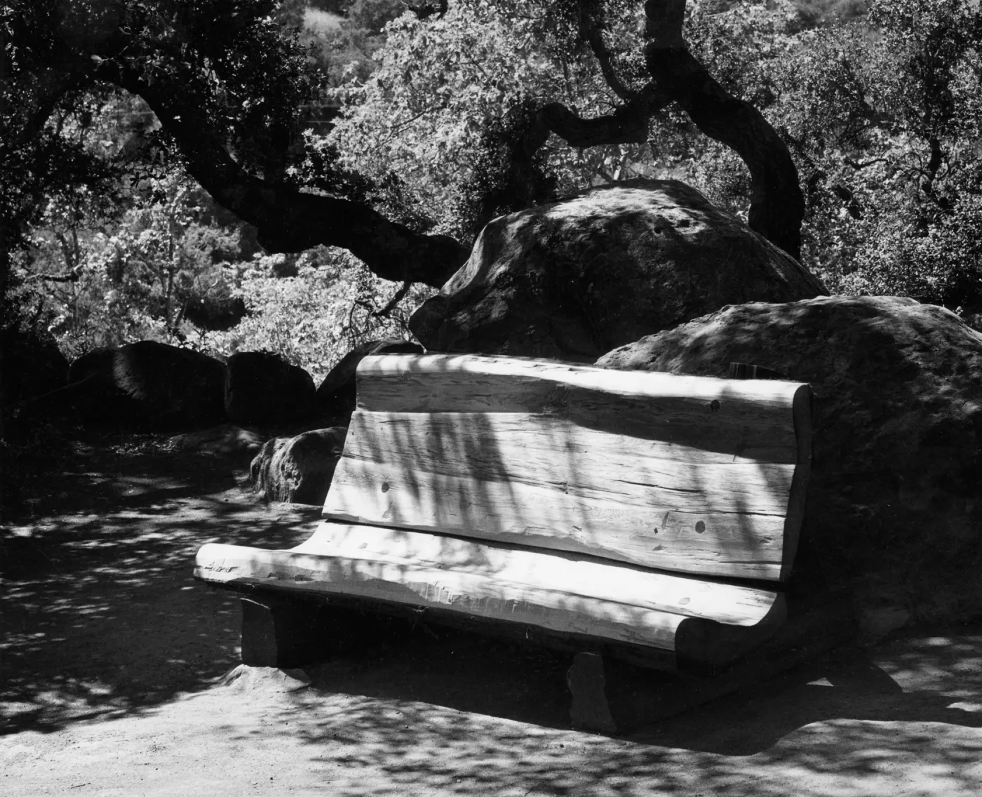 Sequoia wood bench, given by Mrs. Herbert Thorne King in memory of her husband