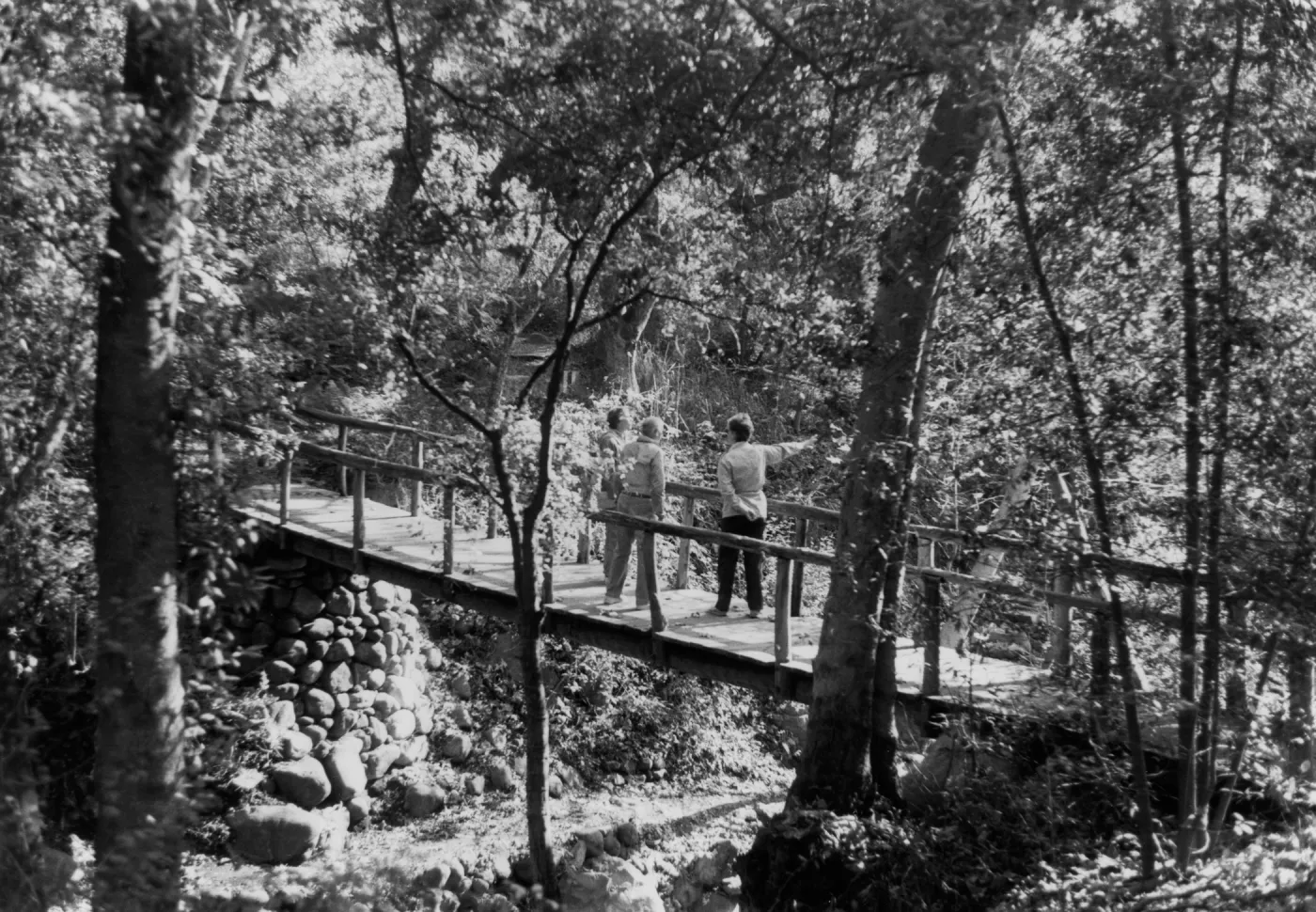 Visitors on Campbell Bridge, Mission Creek