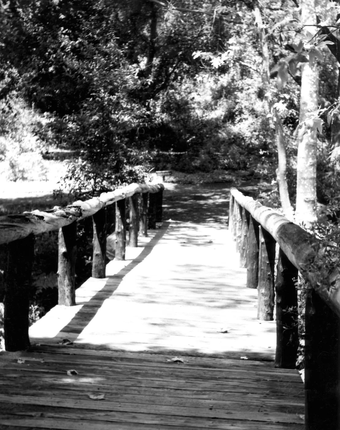 Campbell Bridge, SBBG