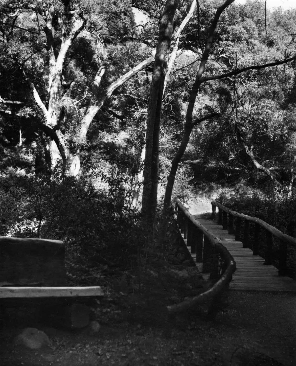 Campbell Bridge, SBBG