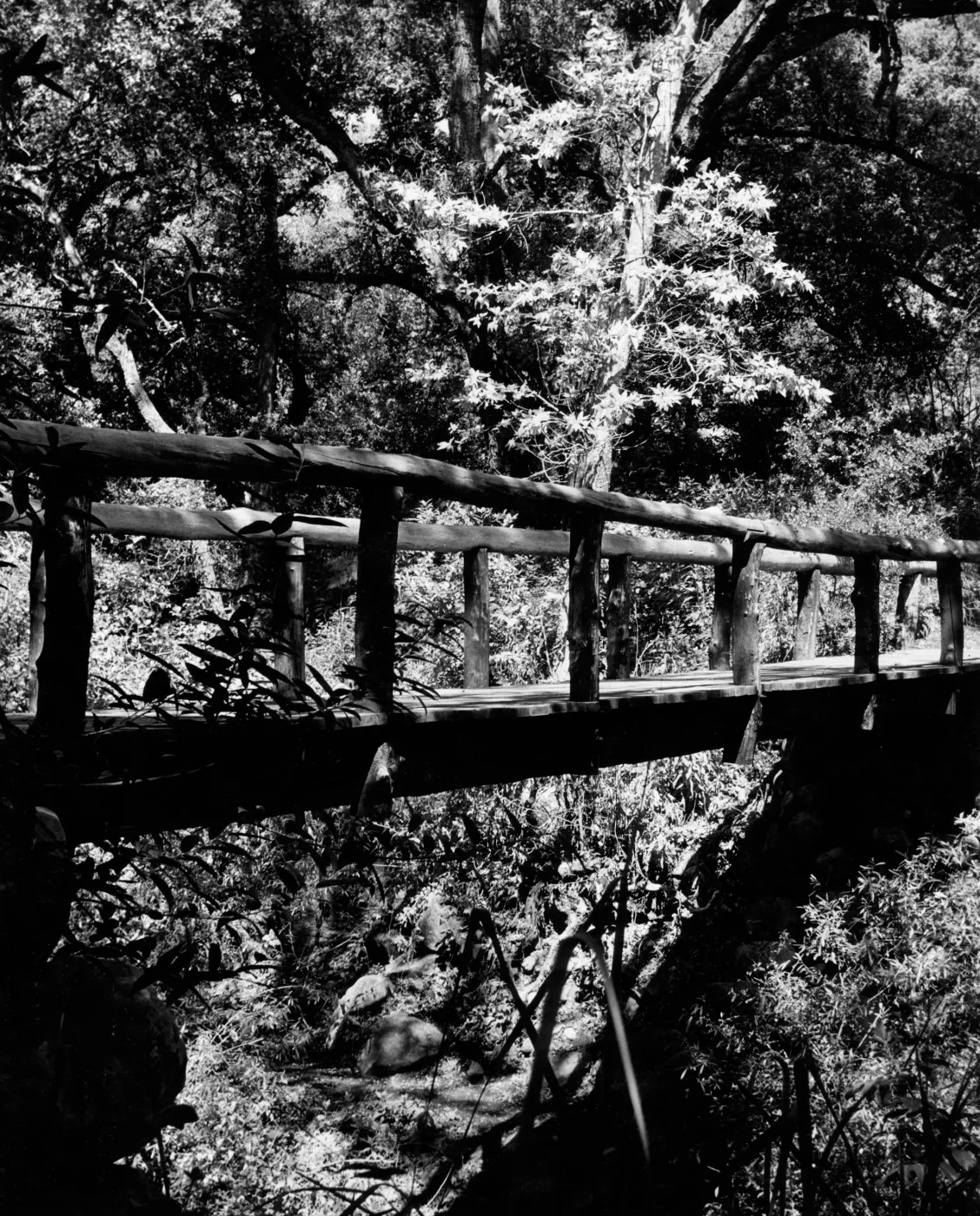 Campbell Bridge, SBBG