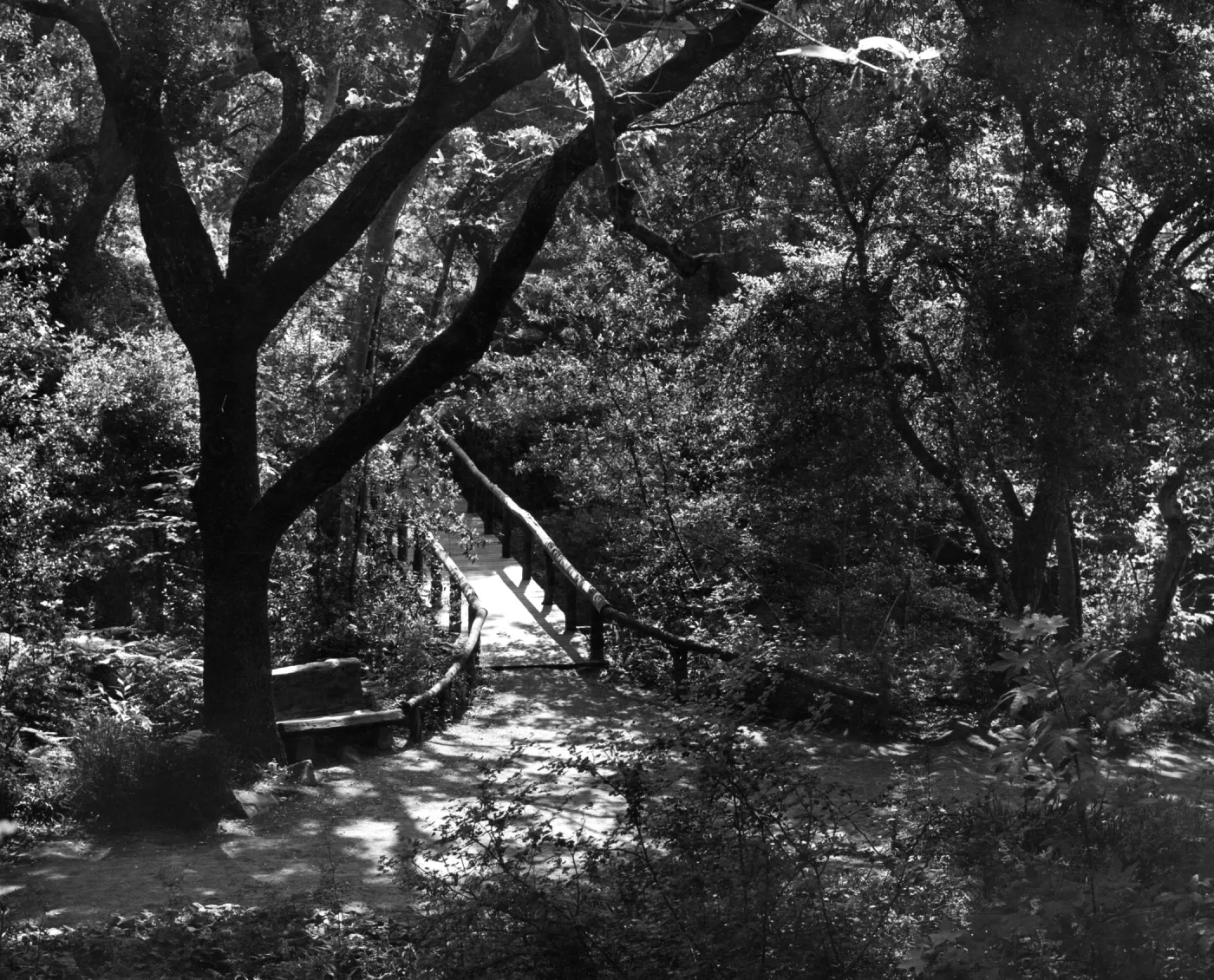 Campbell Bridge, SBBG