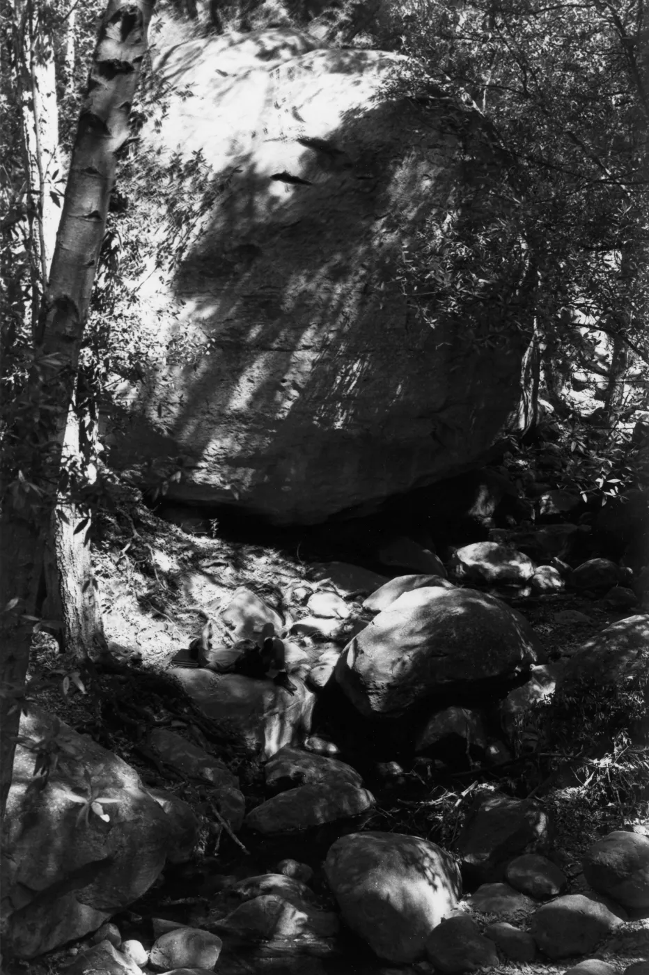 boulder along Mission Creek, Canyon Section, SBBG