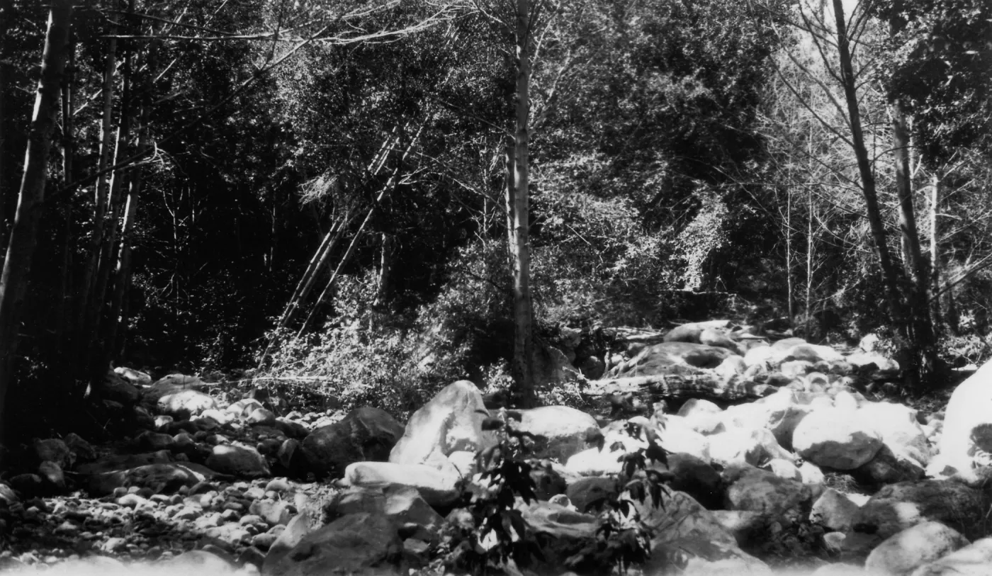 Mission Creek, Canyon Section, SBBG
