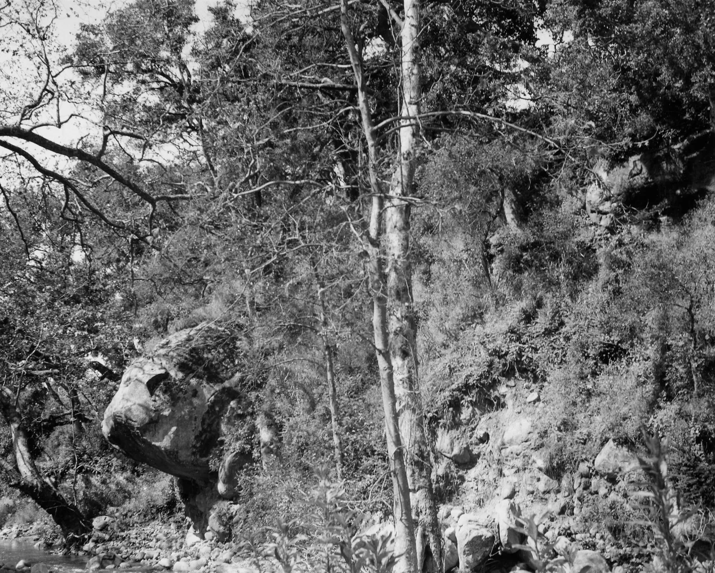 slope above Mission Creek, Bull's Head Rock