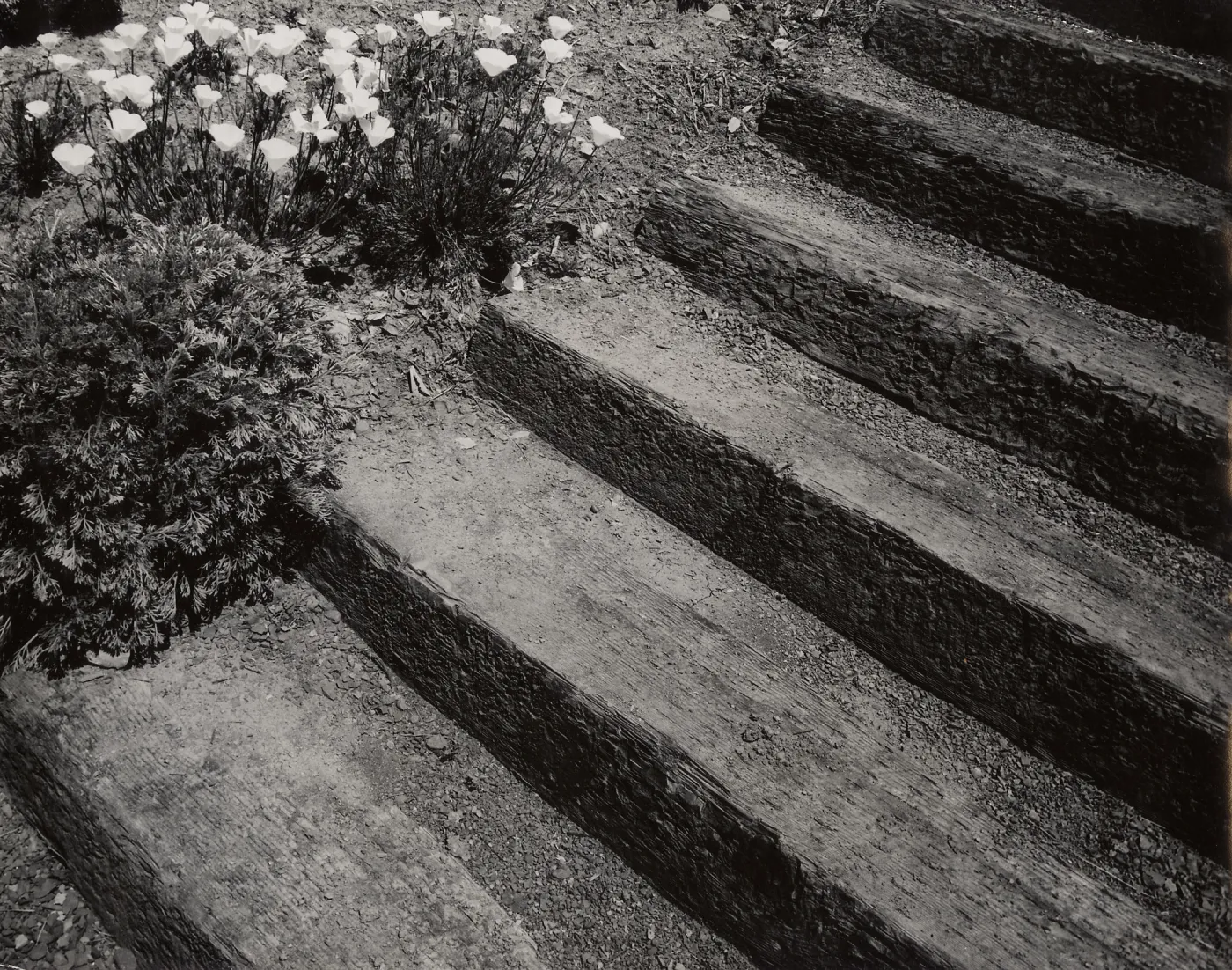 railroad tie steps, SBBG