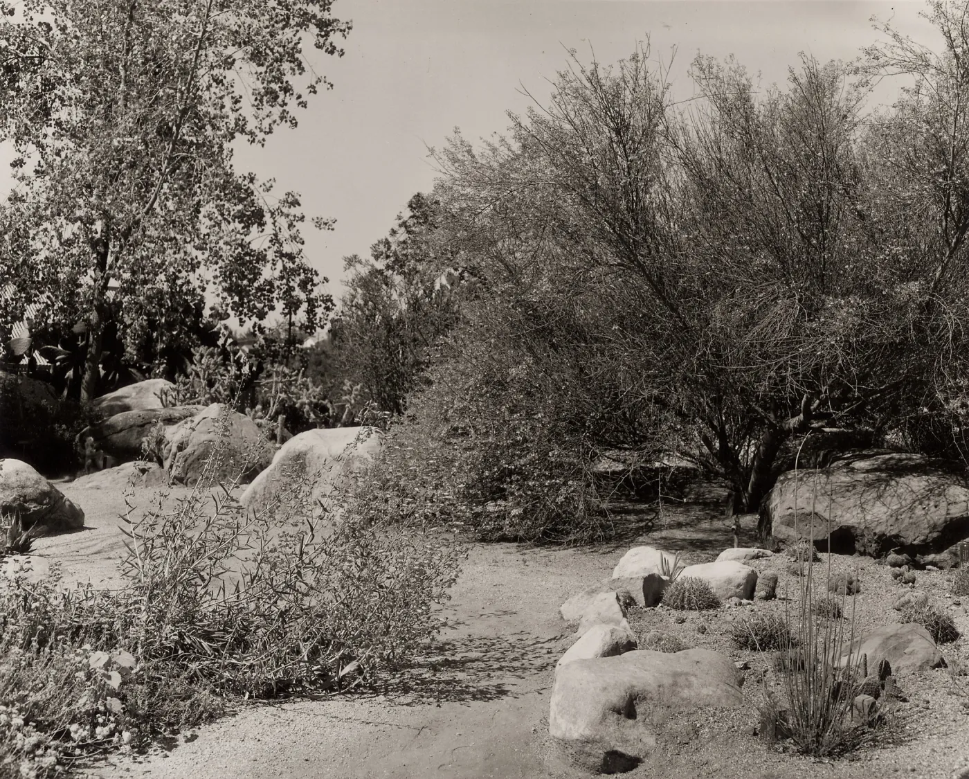 Desert Section, SBBG