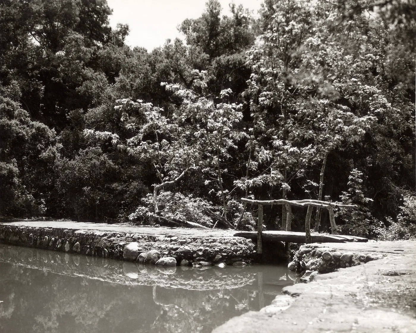 pool above Mission Dam, SBBG
