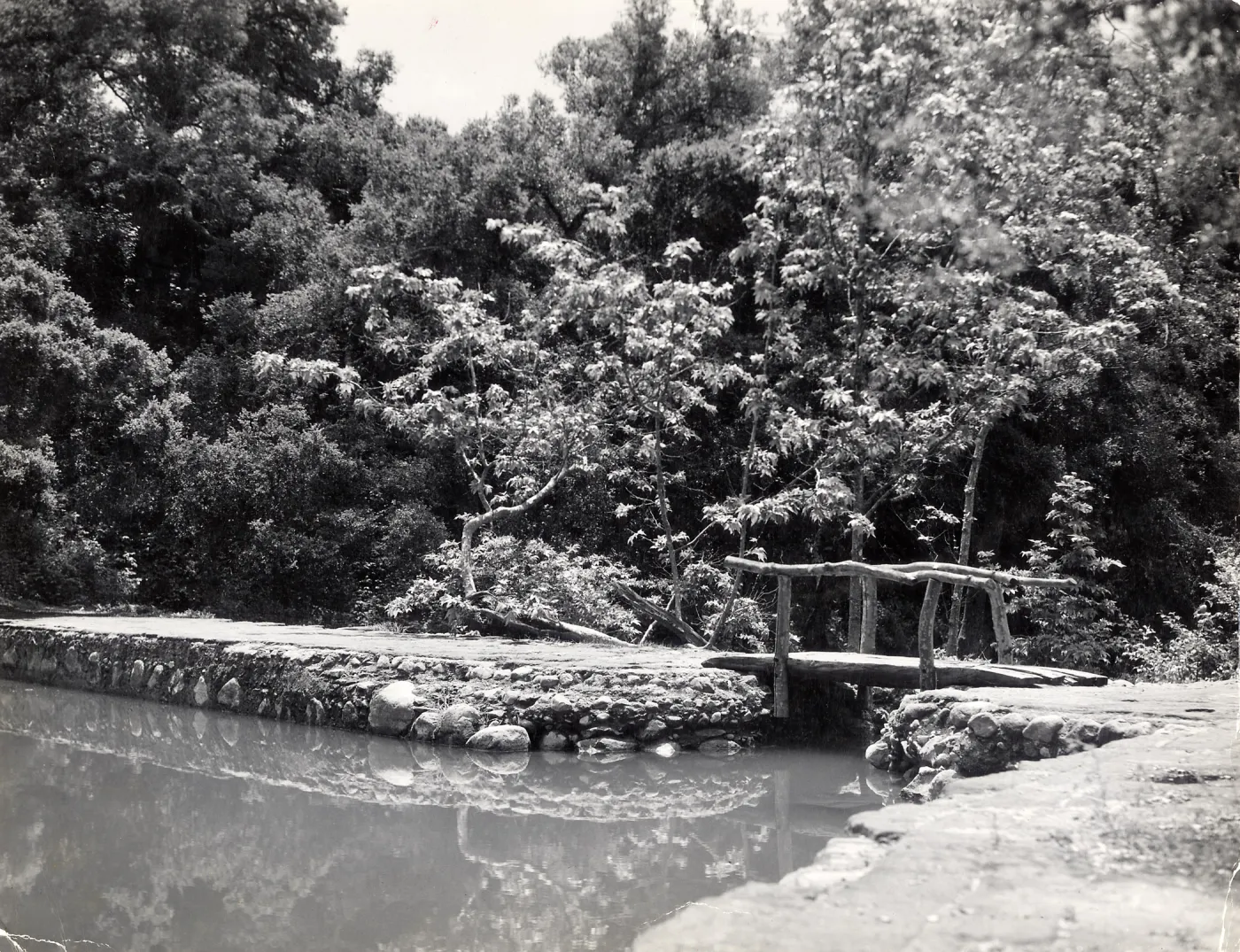 pool above Mission Dam, SBBG