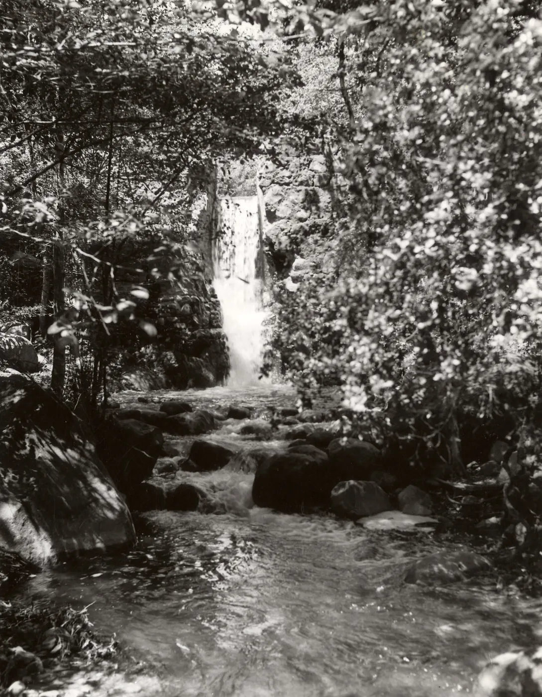 Mission Dam, SBBG