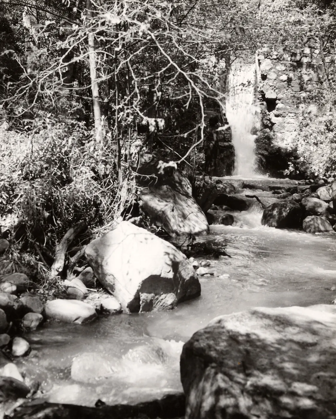 Mission Dam, SBBG
