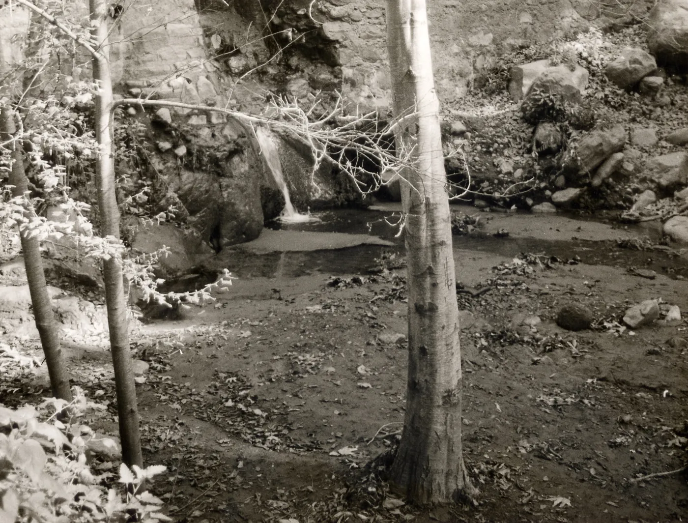 Mission Dam, SBBG