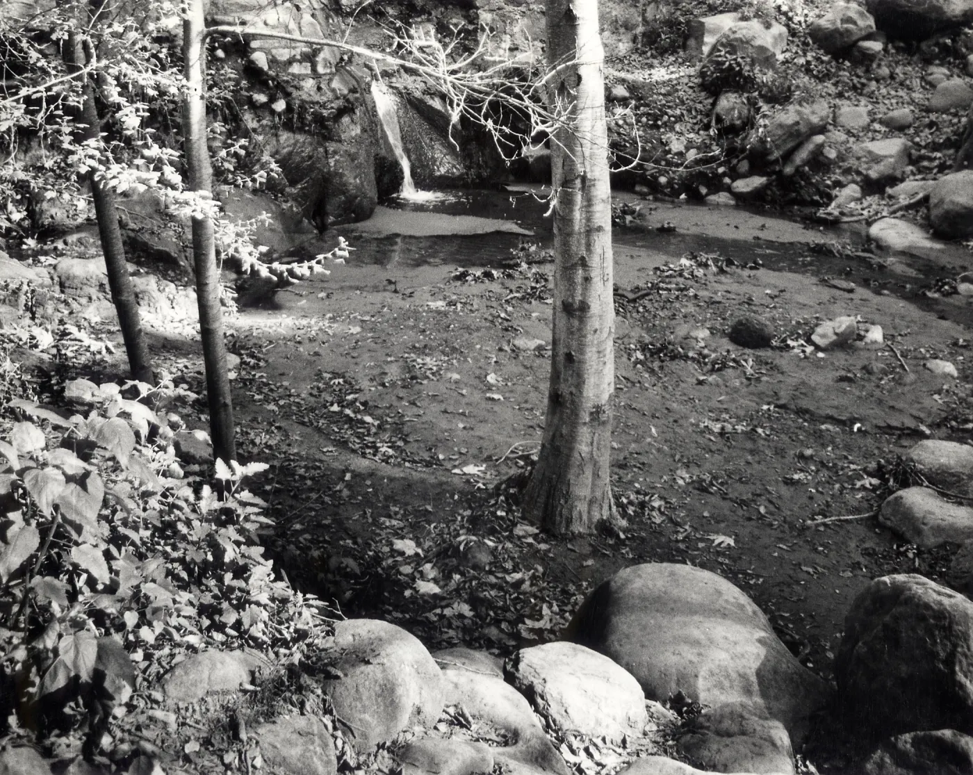 Mission Dam, SBBG