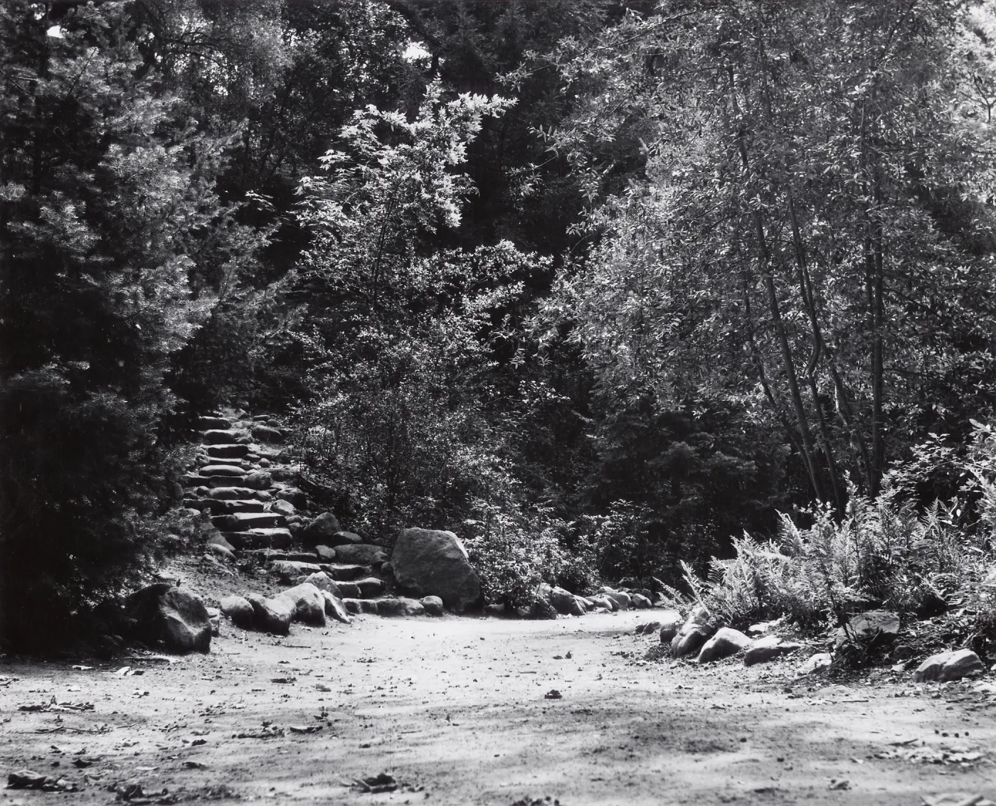 foot of Indian Steps, Redwood Section