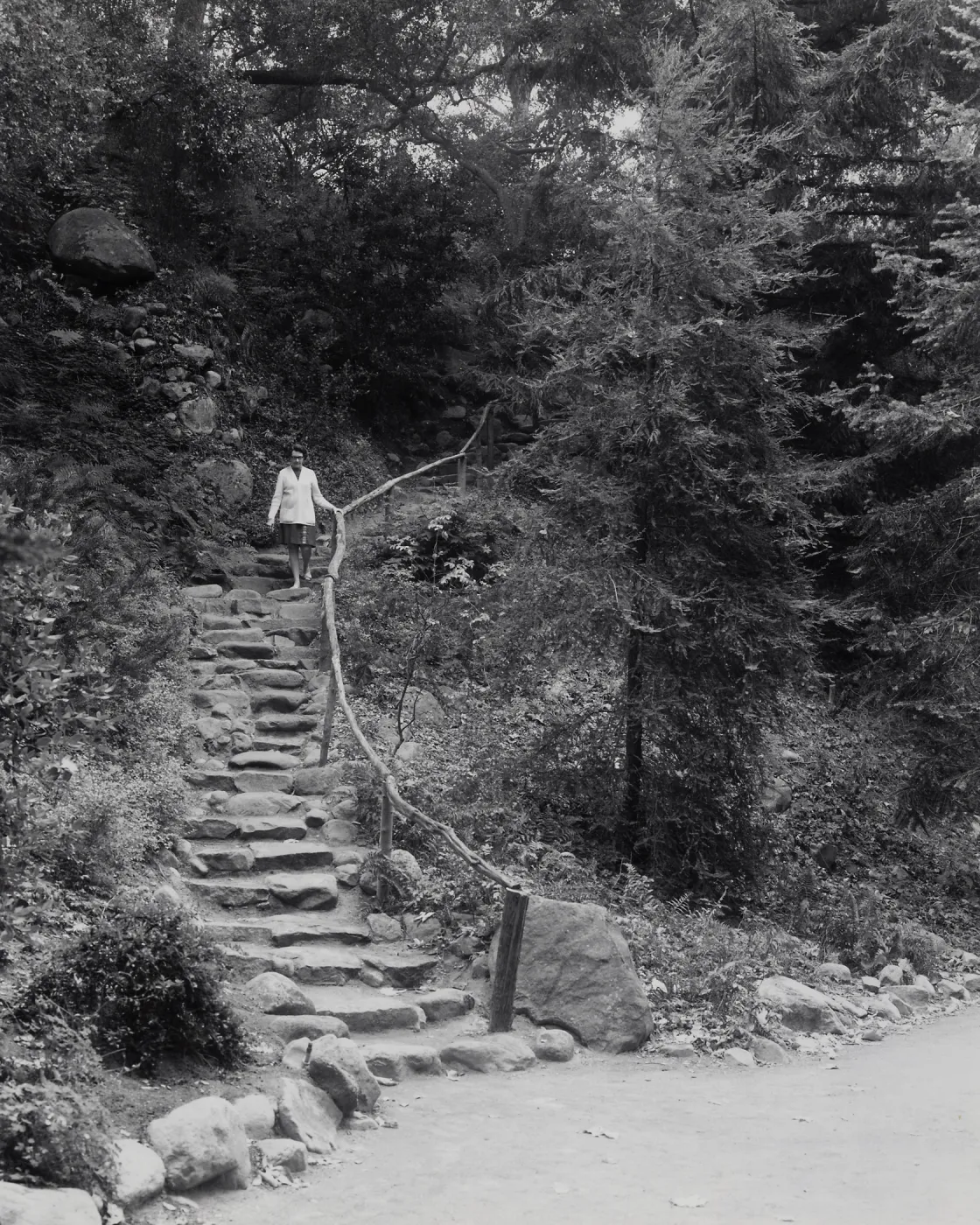 Indian Steps to Redwood Section