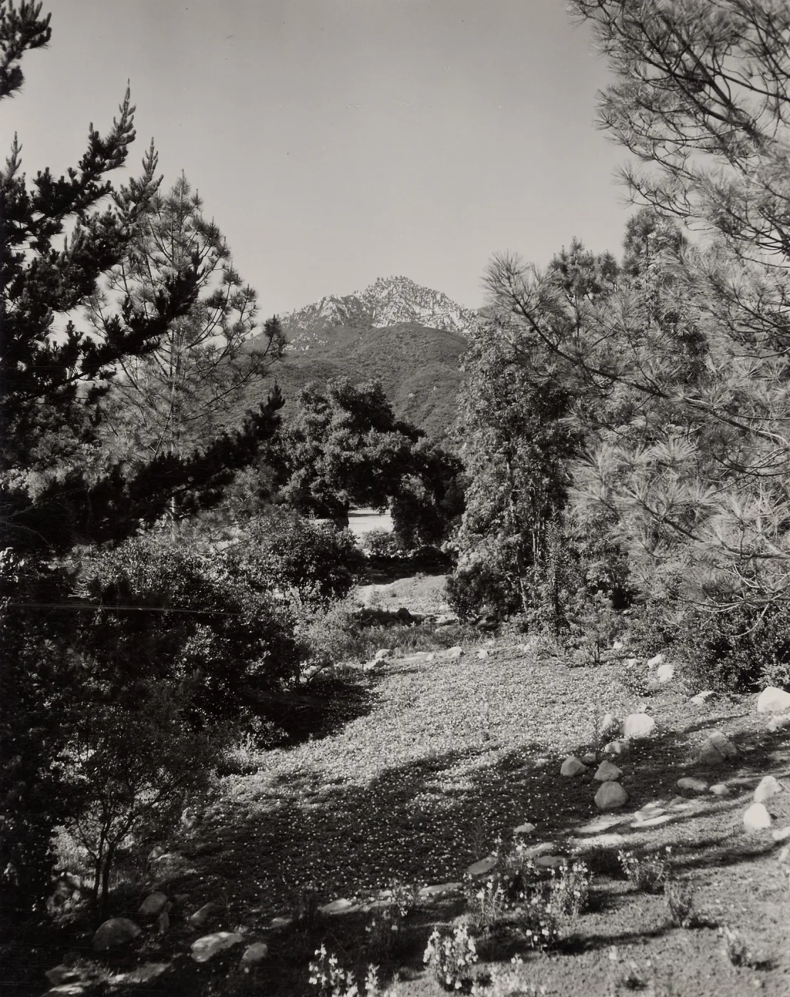 Island Section (historic), ©Josef Muench