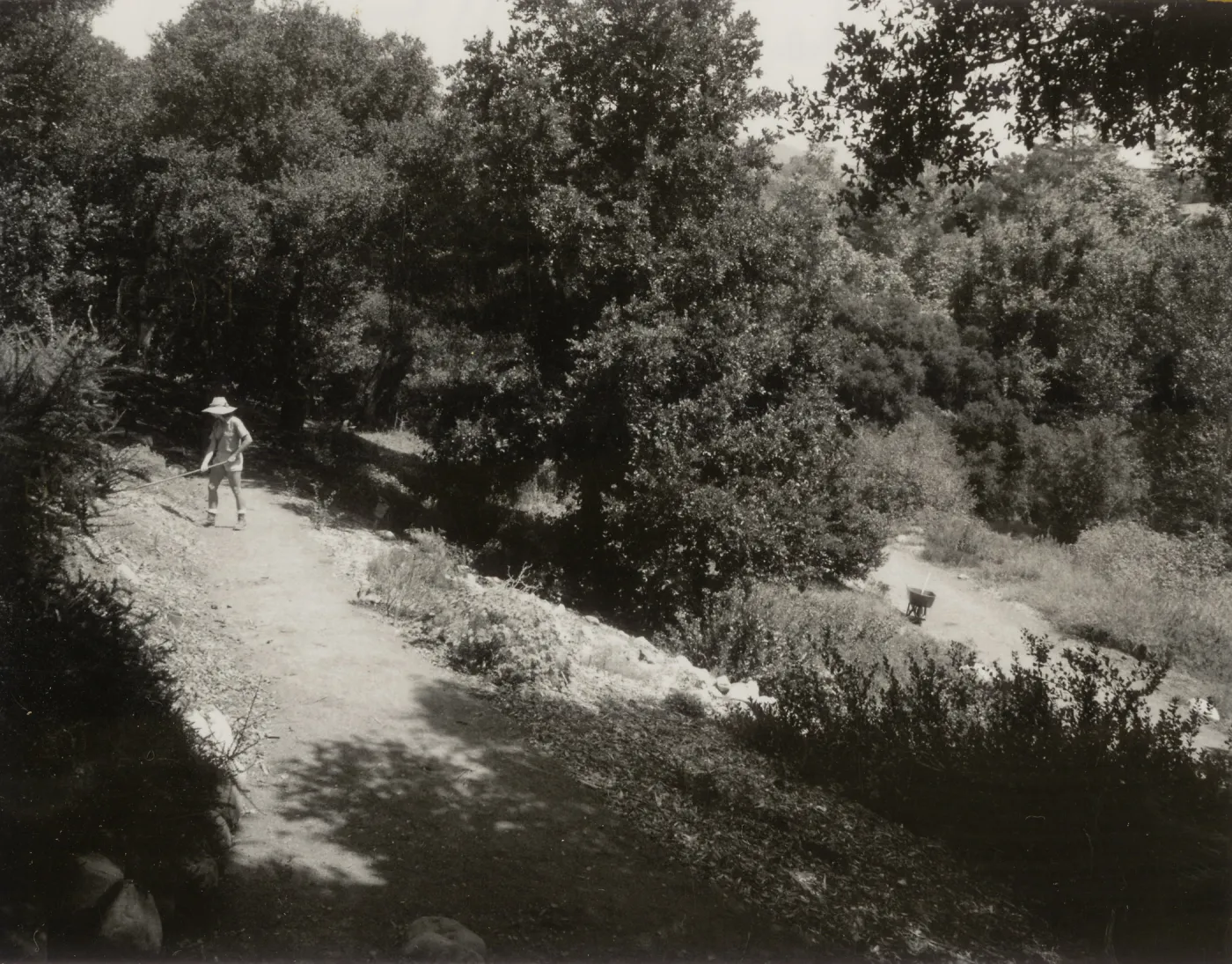 Island Section