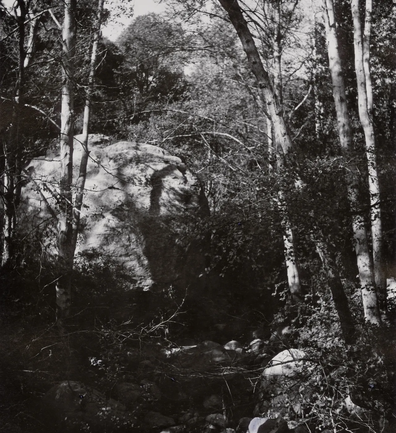 Lassiter Boulder