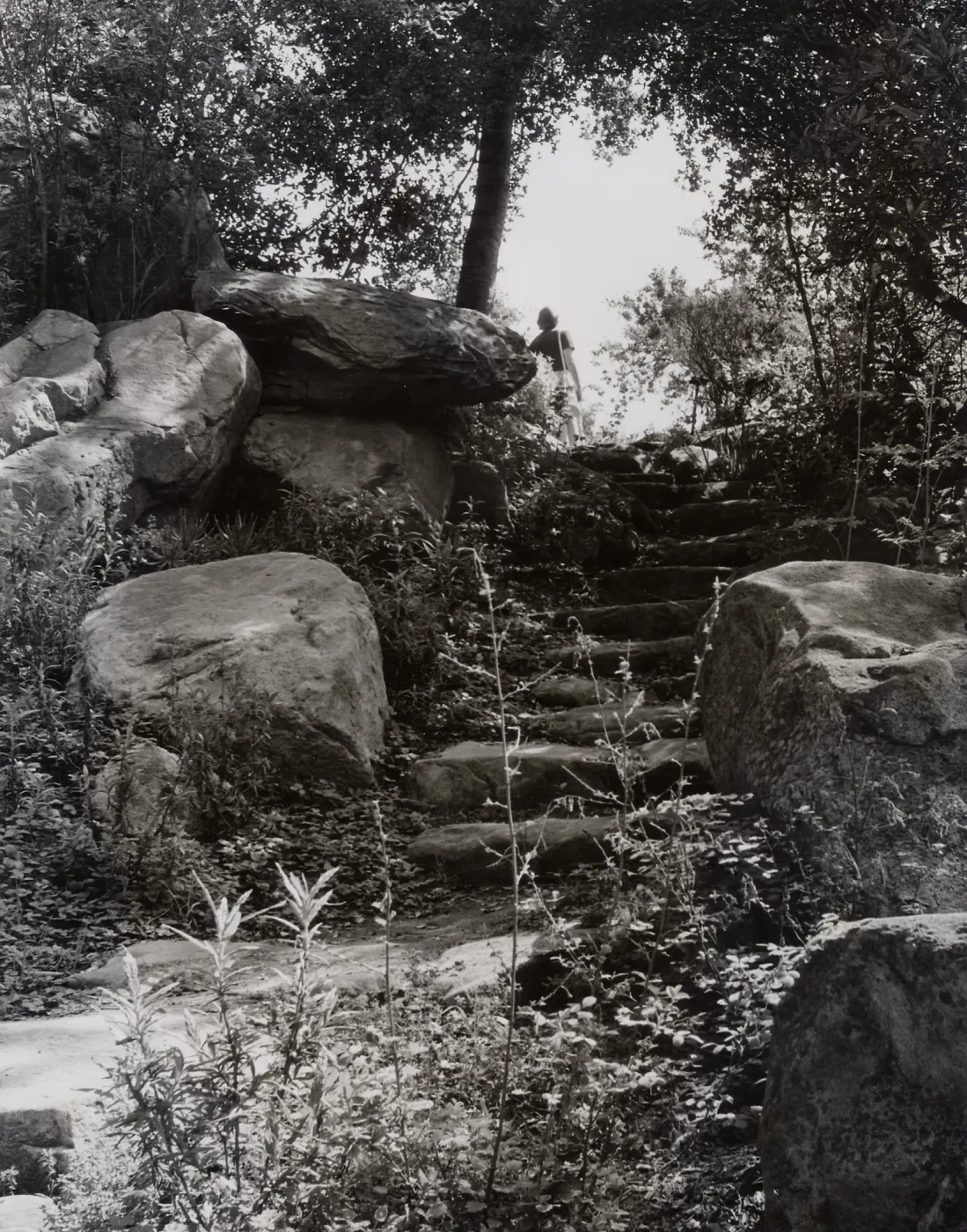 Steps, Manzanita Section