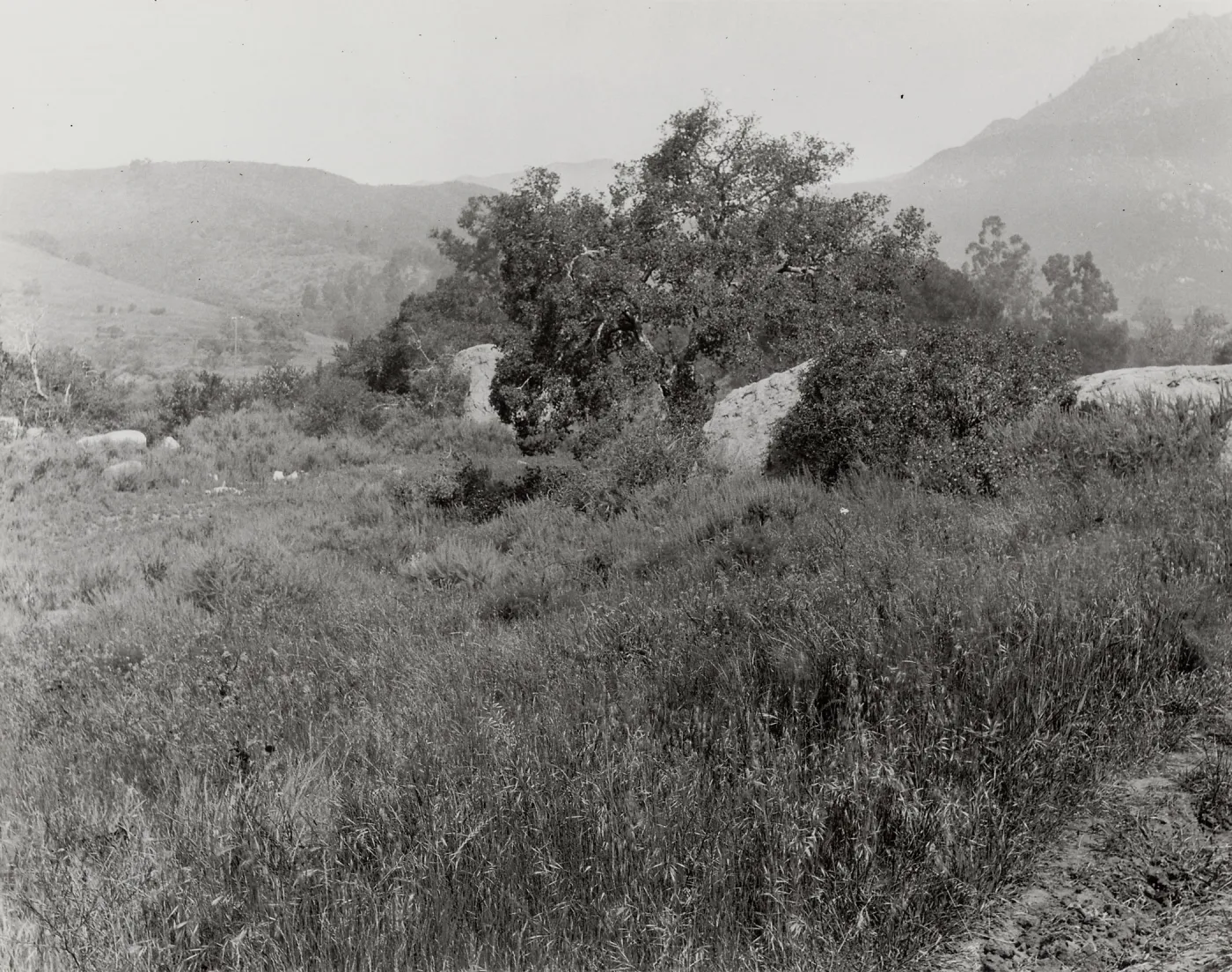 two entrance boulders, Blaksley Boulder behind, circa 1926