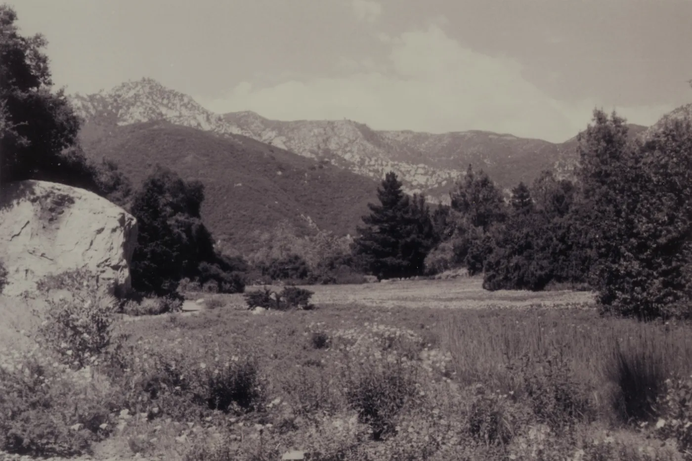 Meadow with 'borrowed landscape' (Santa Ynez mountains in background)