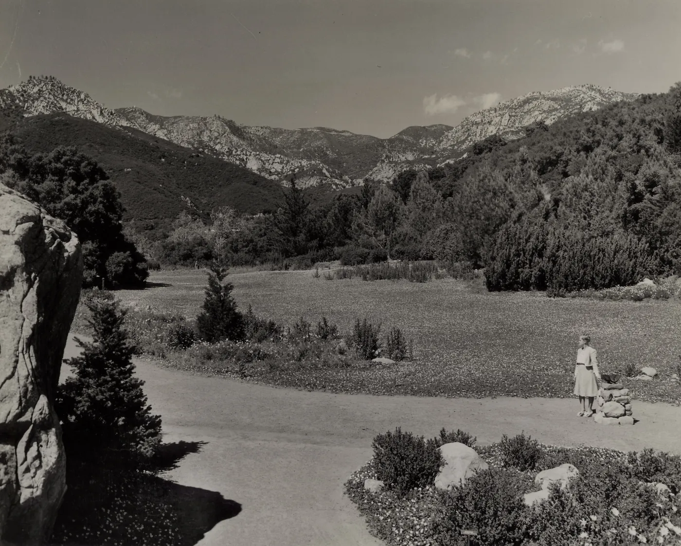 Strawberry Meadow, © Josef Muench