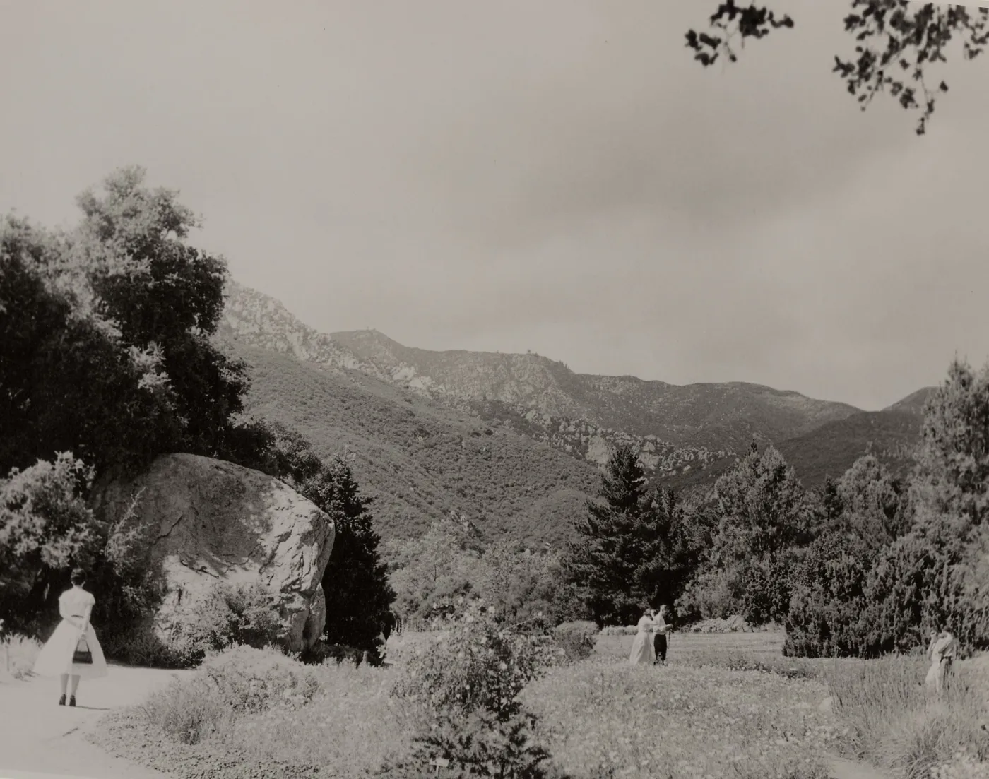 SBBG, Blaksley Boulder and Meadow, Mountain view