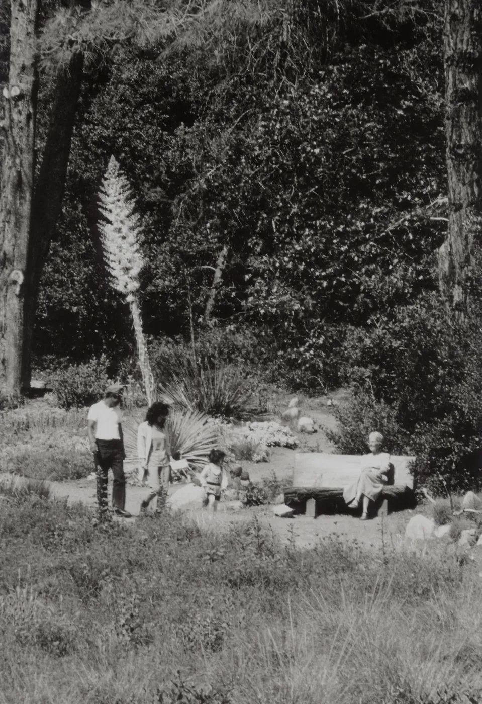 visitors enjoy the Meadow, wood bench