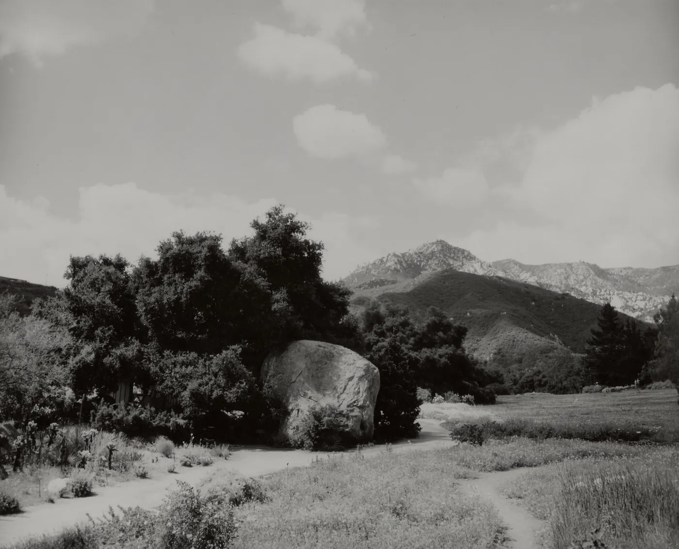 SBBG Meadow, mountain view