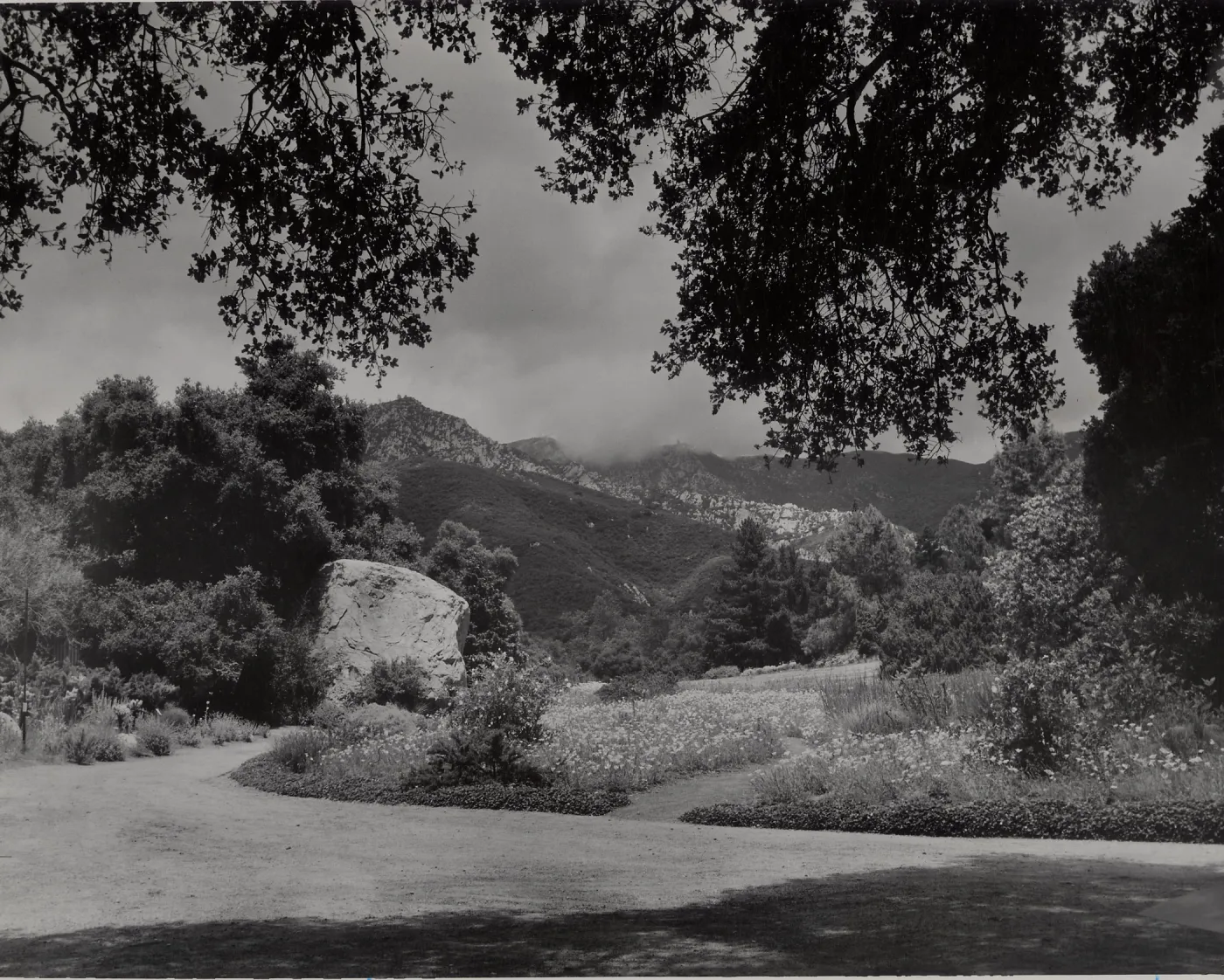 SBBG Meadow, mountain view with clouds