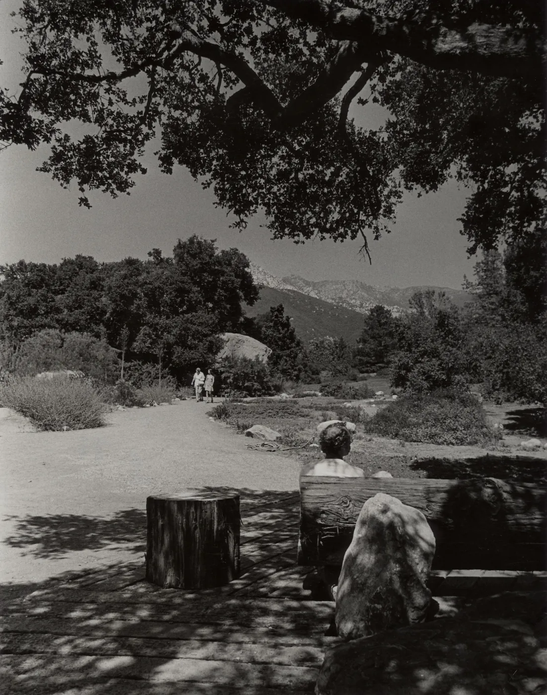 SBBG Meadow, wood bench at entrance, mountain view