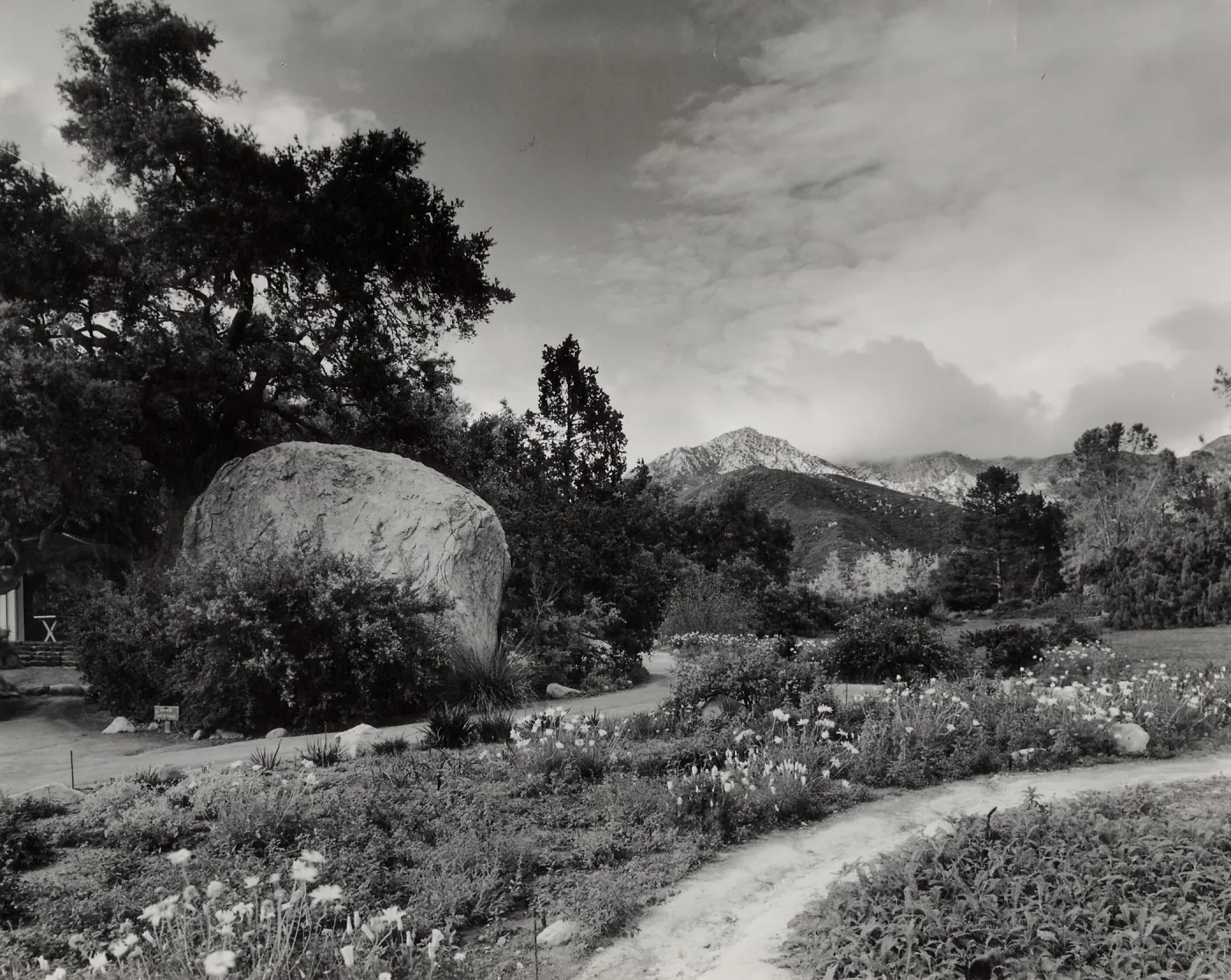 Blaksley Boulder