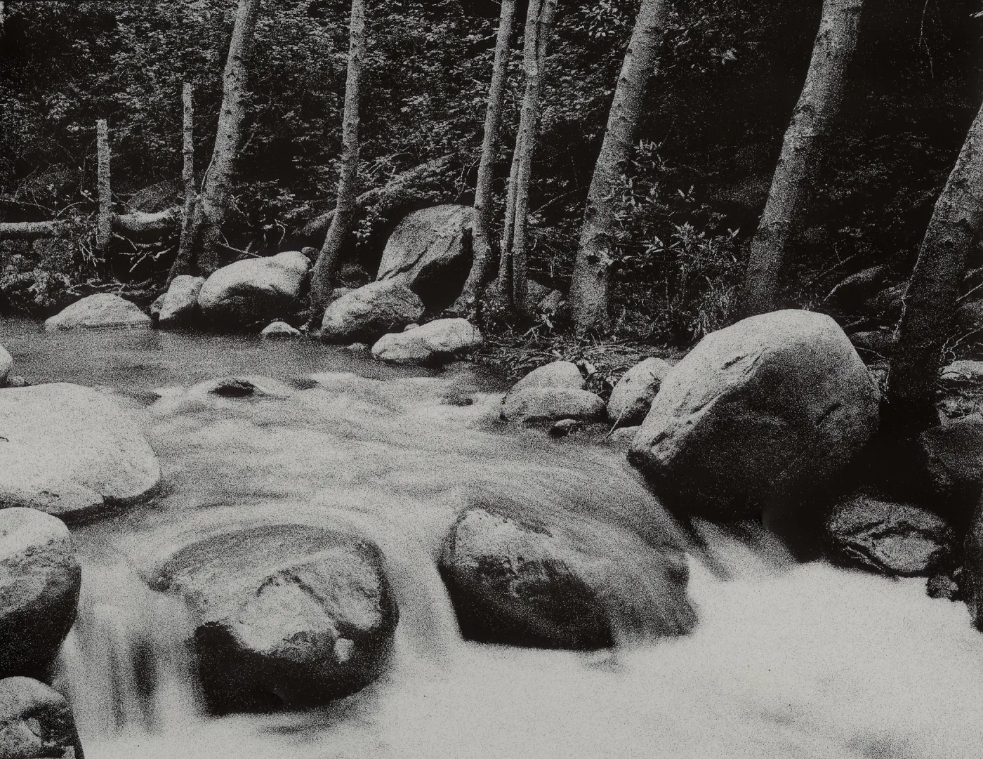 Mission Creek 1983