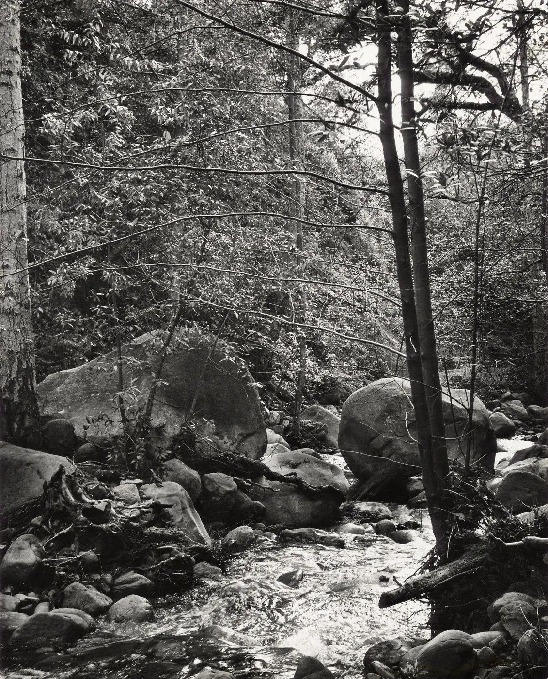 Mission Creek, SBBG