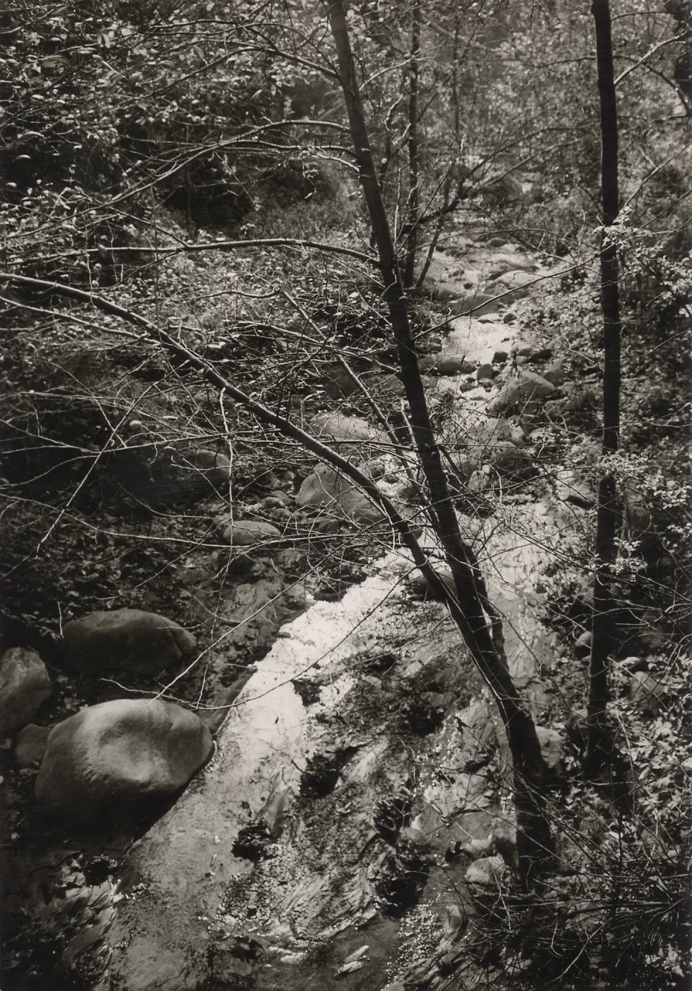 Mission Creek, SBBG