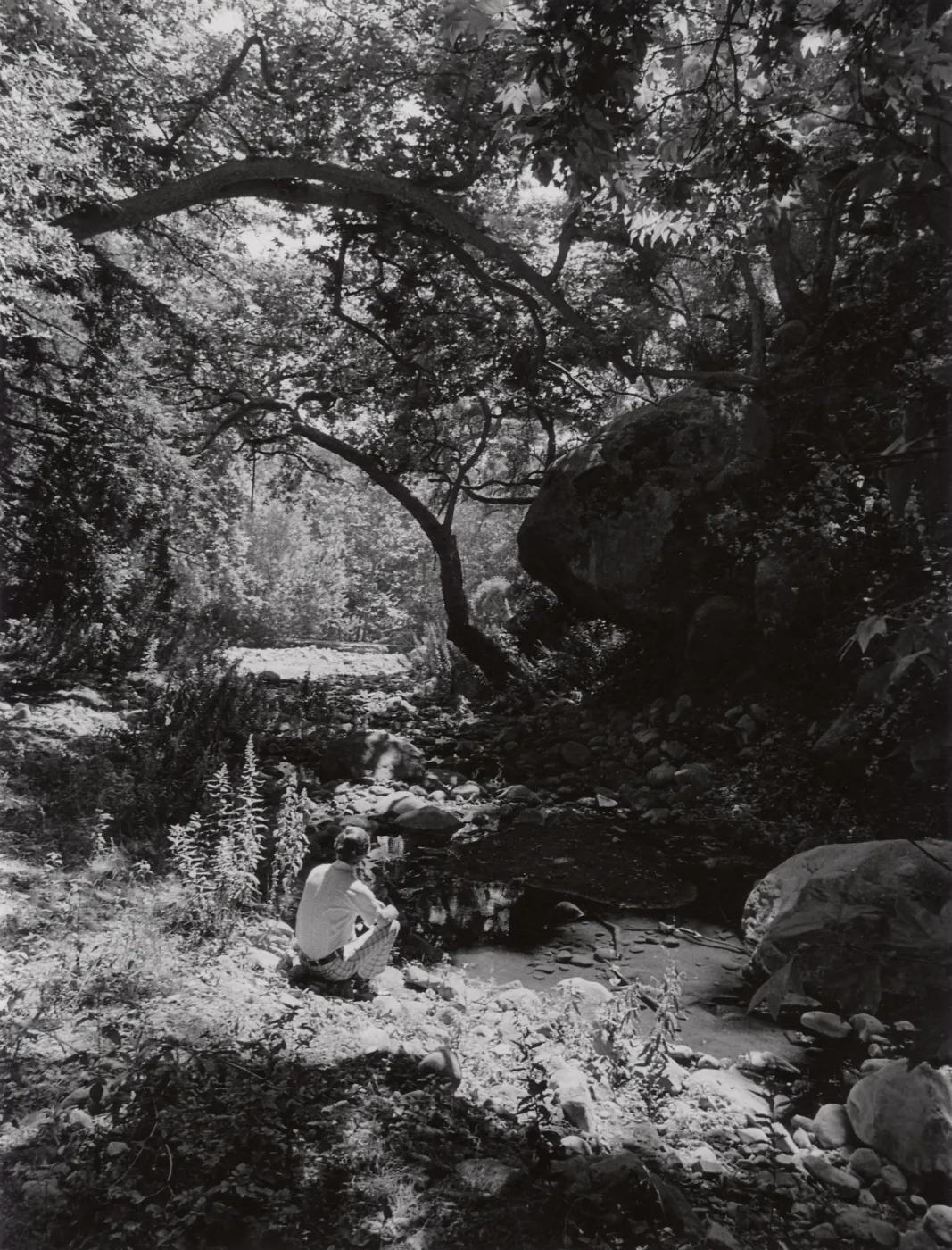 Mission Creek, SBBG