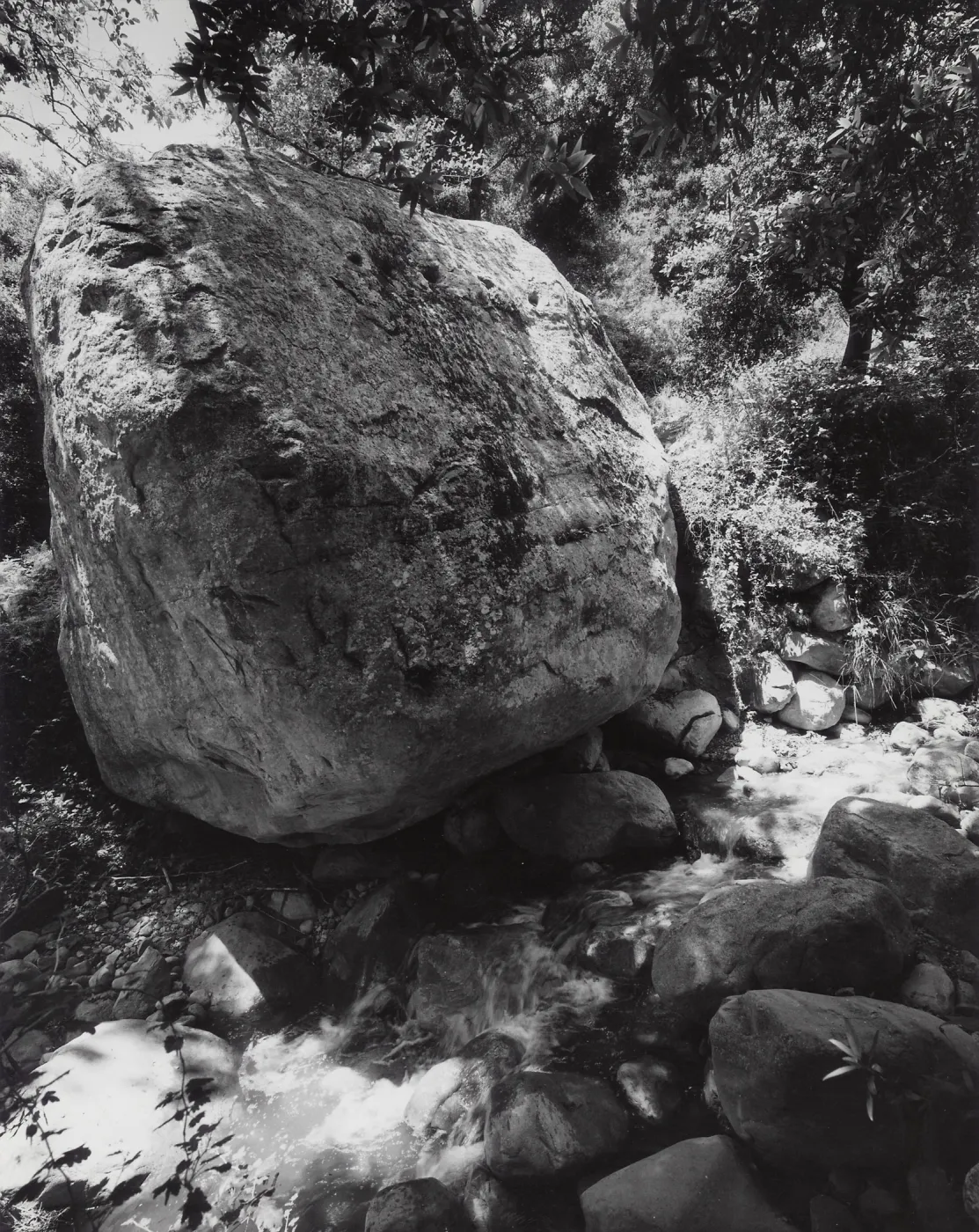 Mission Creek, SBBG