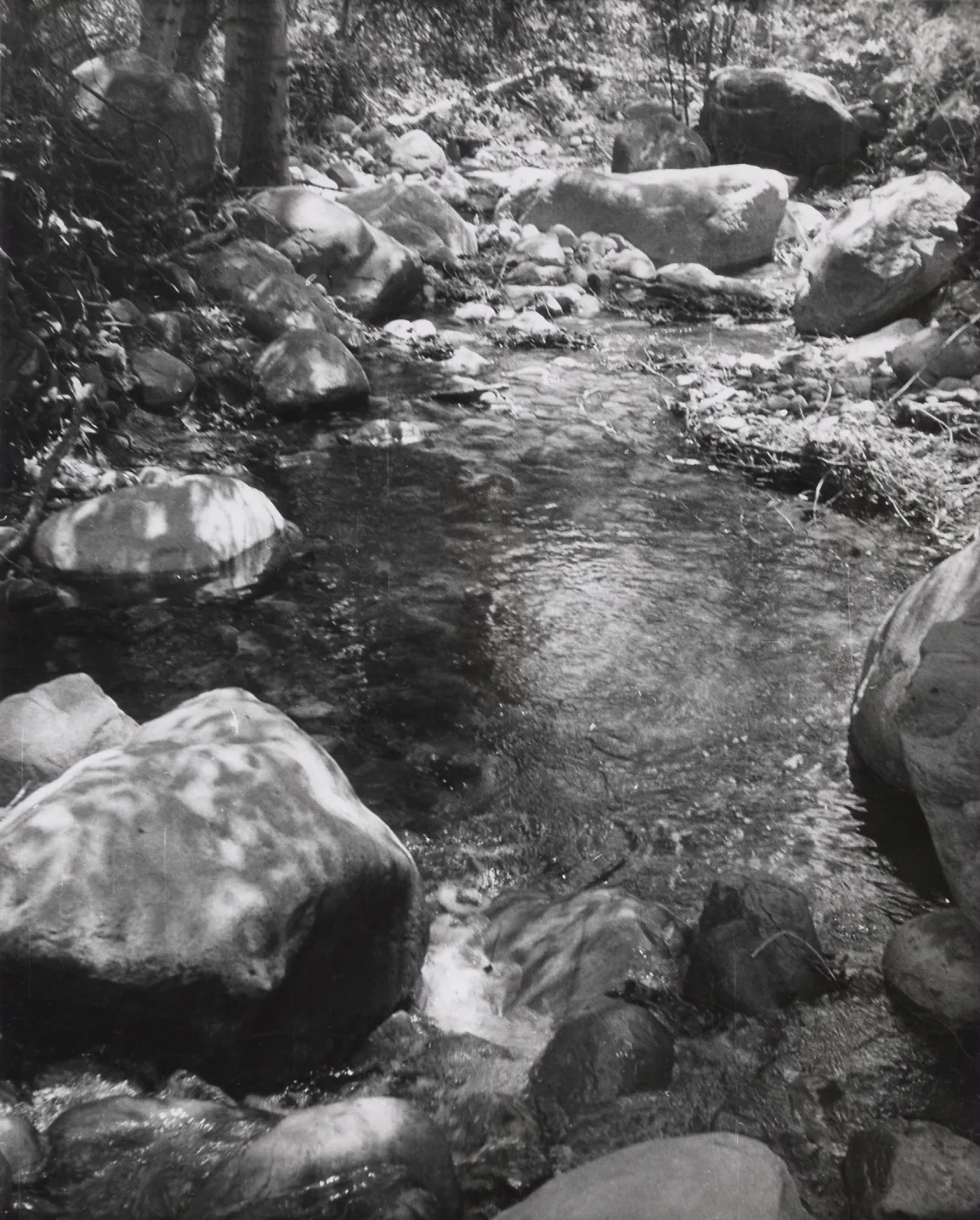 Mission Creek, SBBG