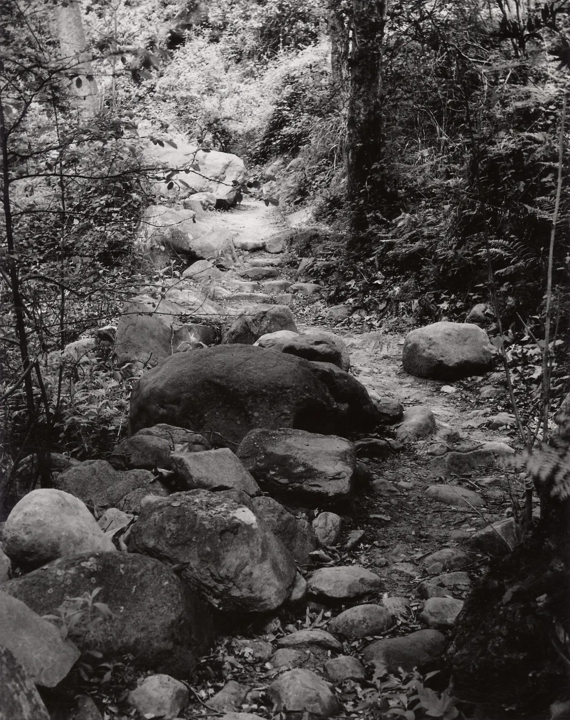 Mission Creek, SBBG