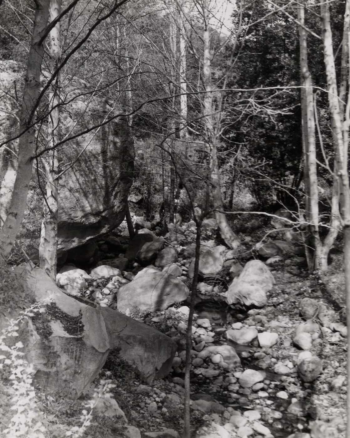 Mission Creek, SBBG