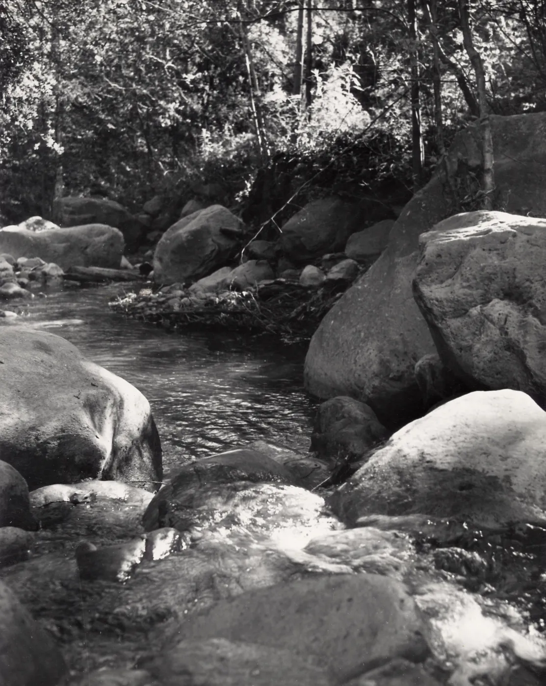 Mission Creek, SBBG