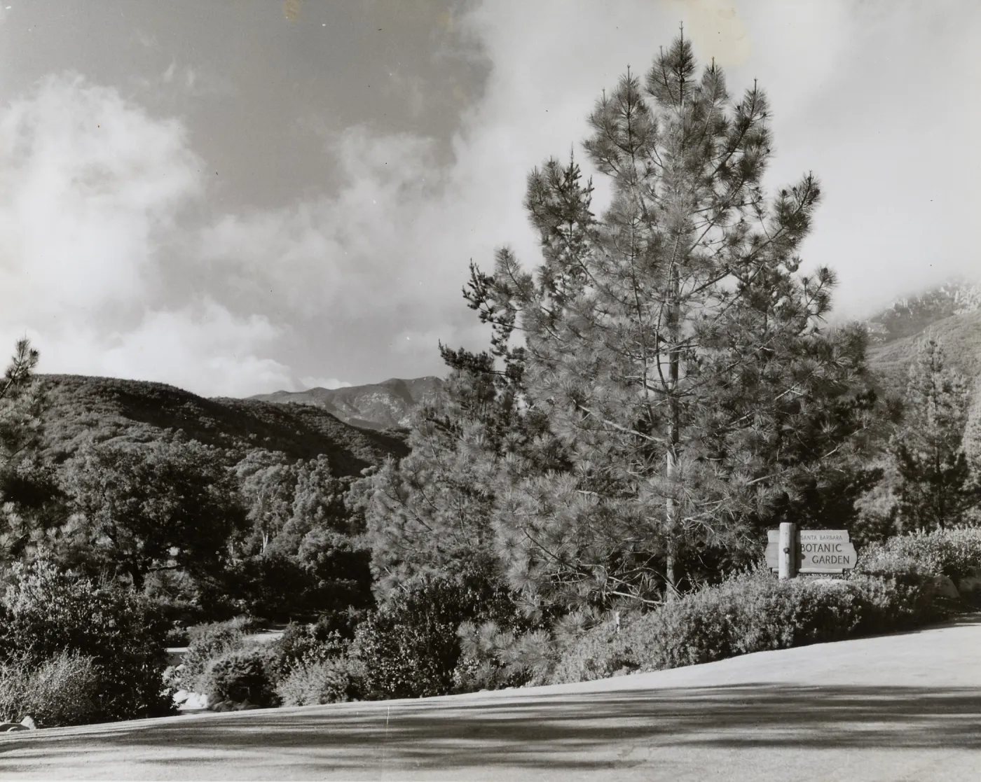 Entrance to SBBG, Mission Canyon Road